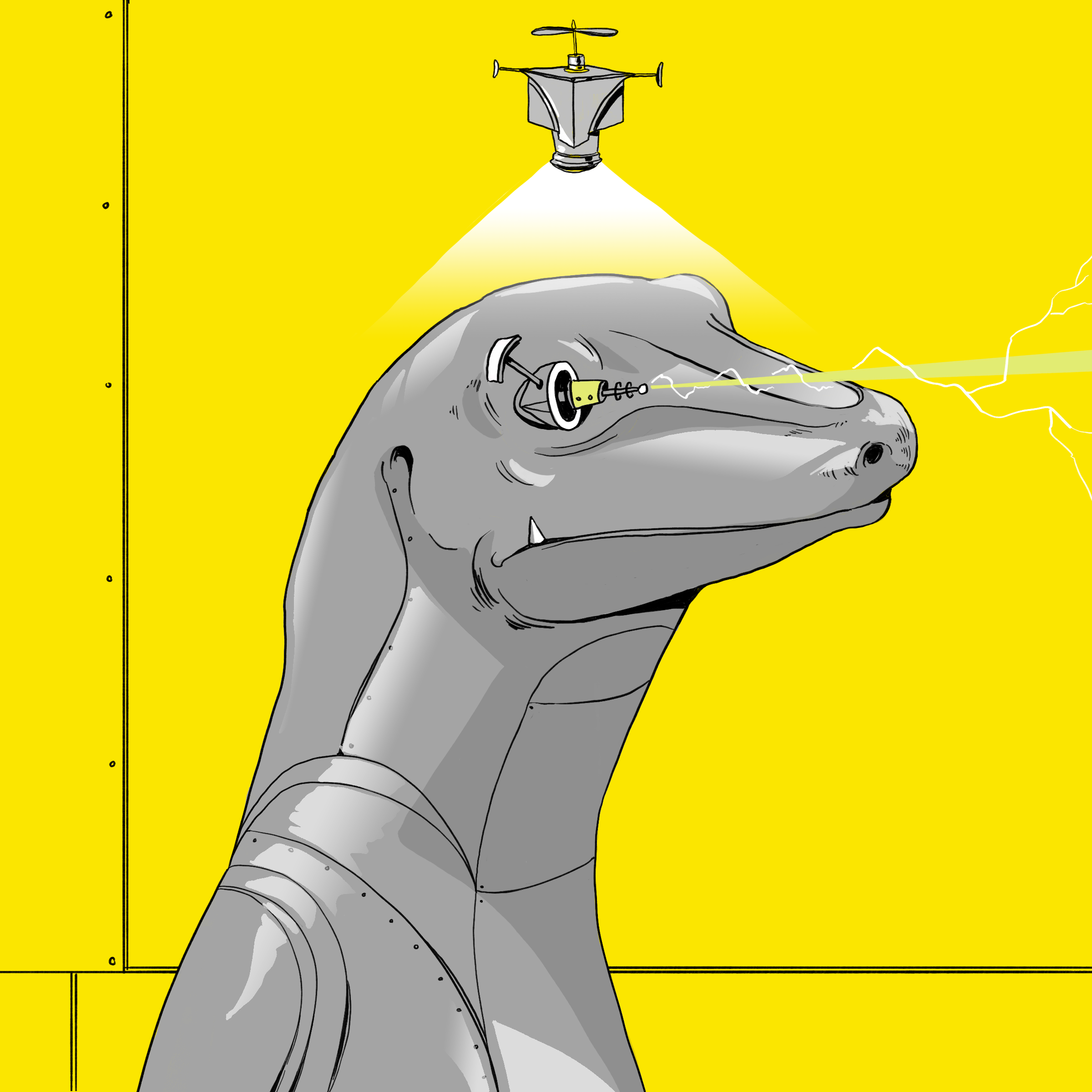 Lizard #4014