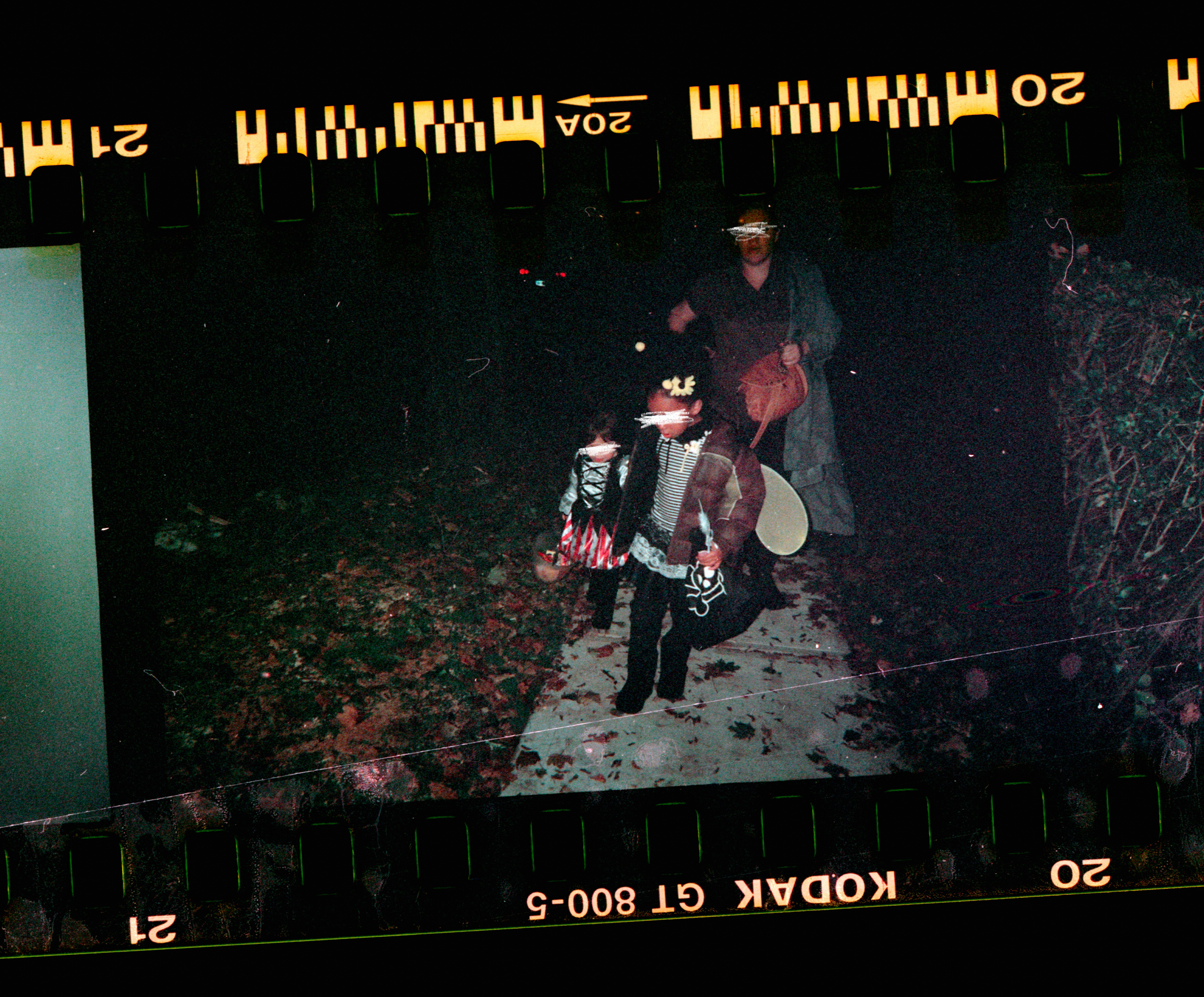 Kodachrome #1018
