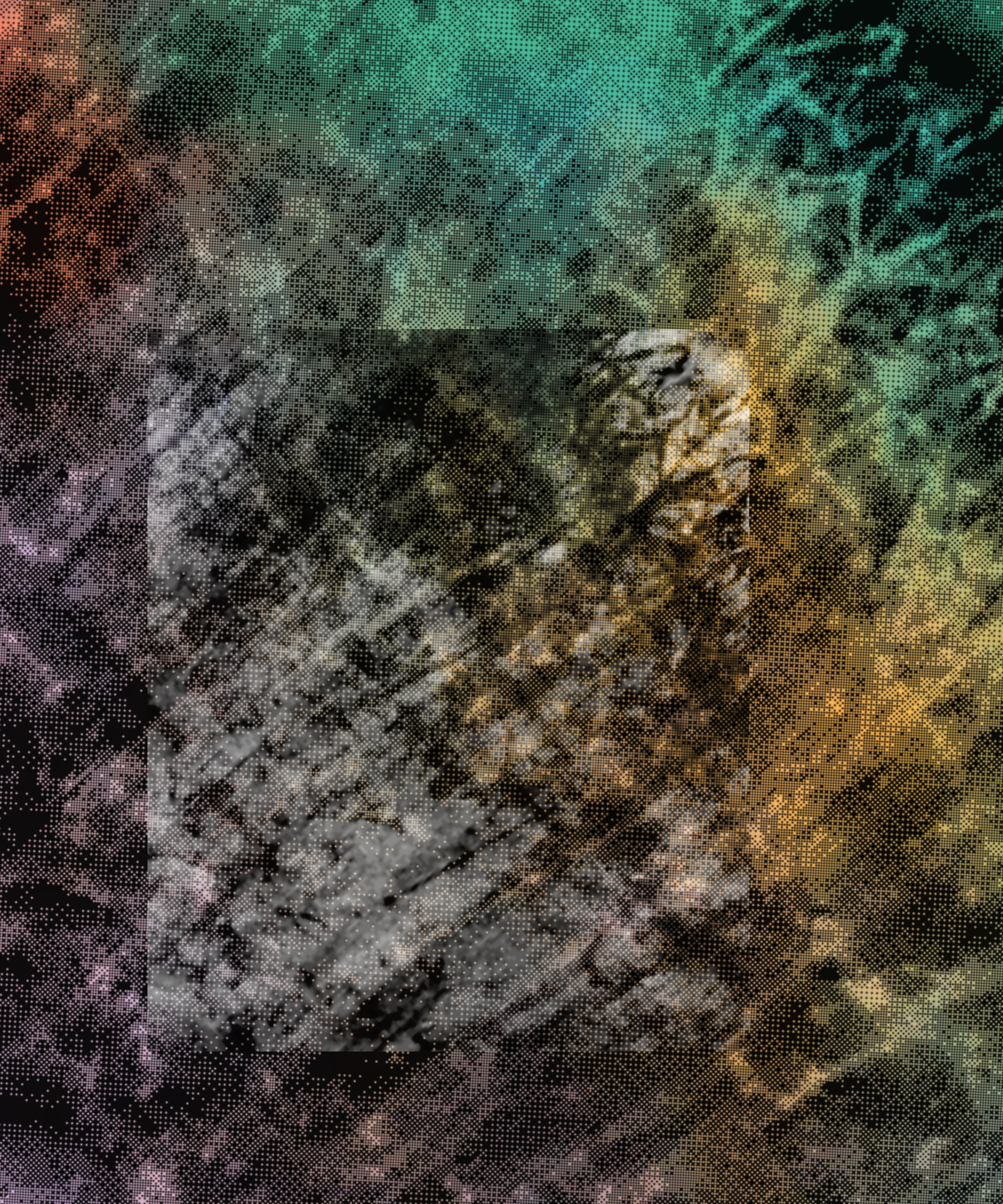 the spring begins with the first rainstorm #302