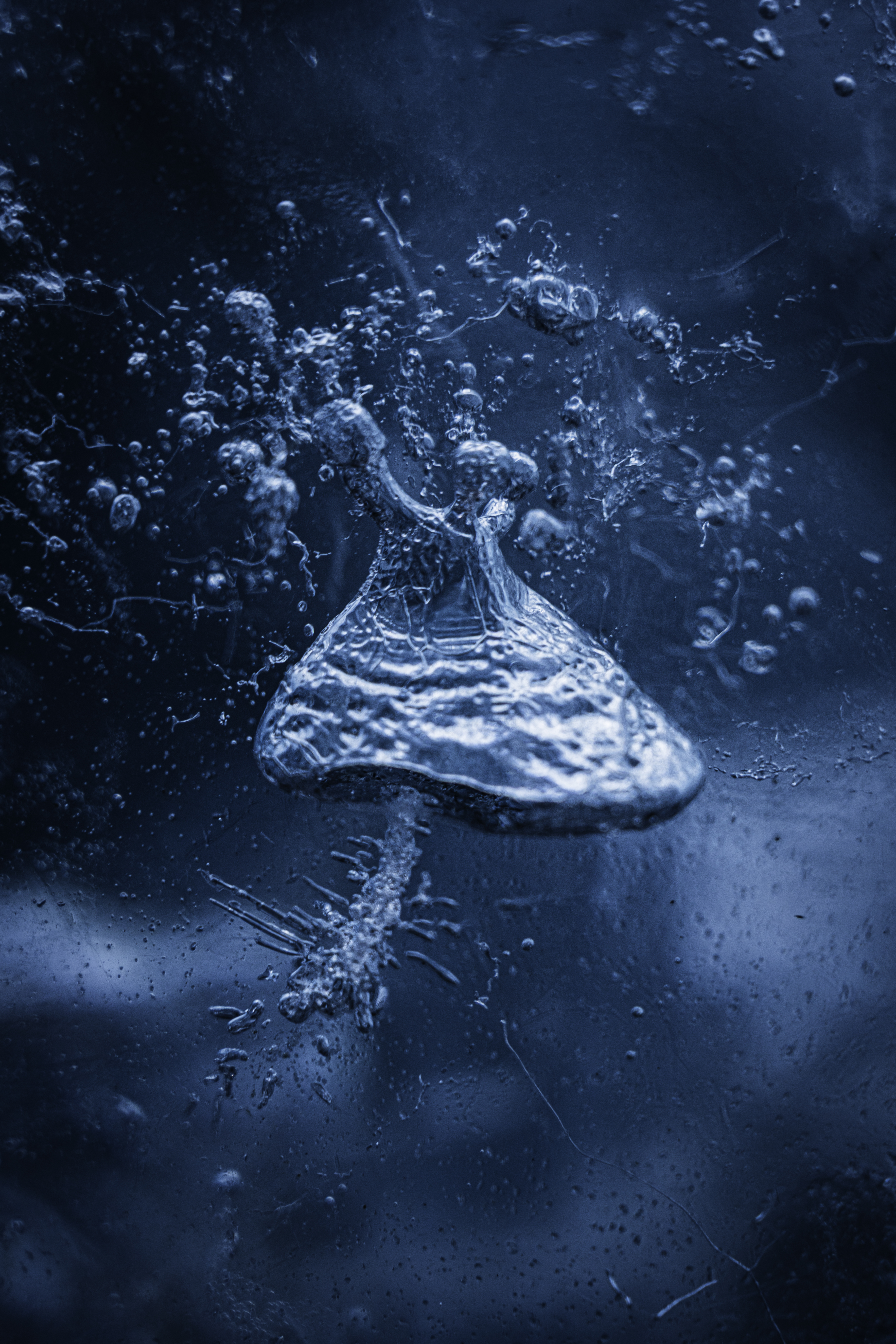 CryoFunghus