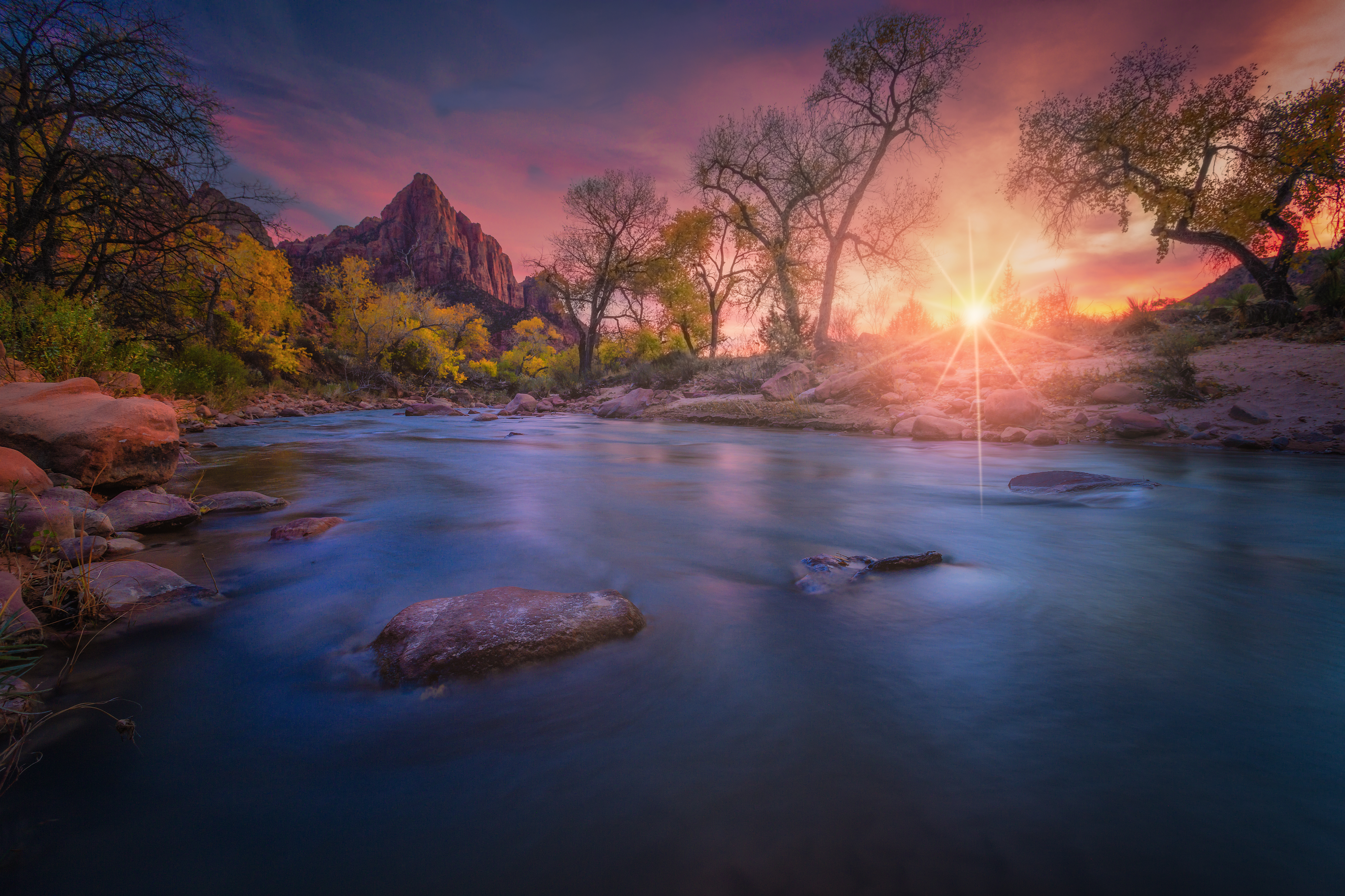 Desert Sojourn
