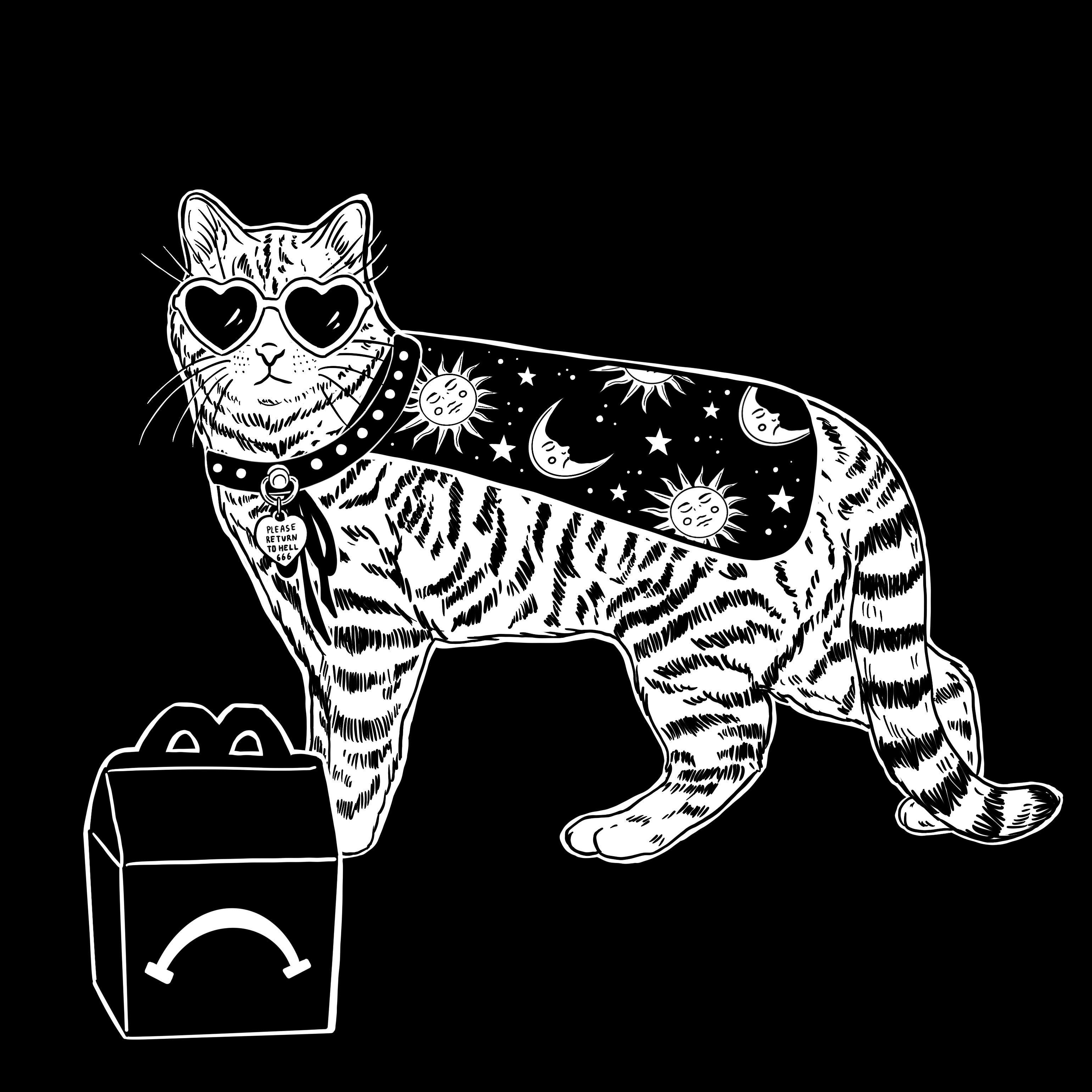 The Sad Cat #4466