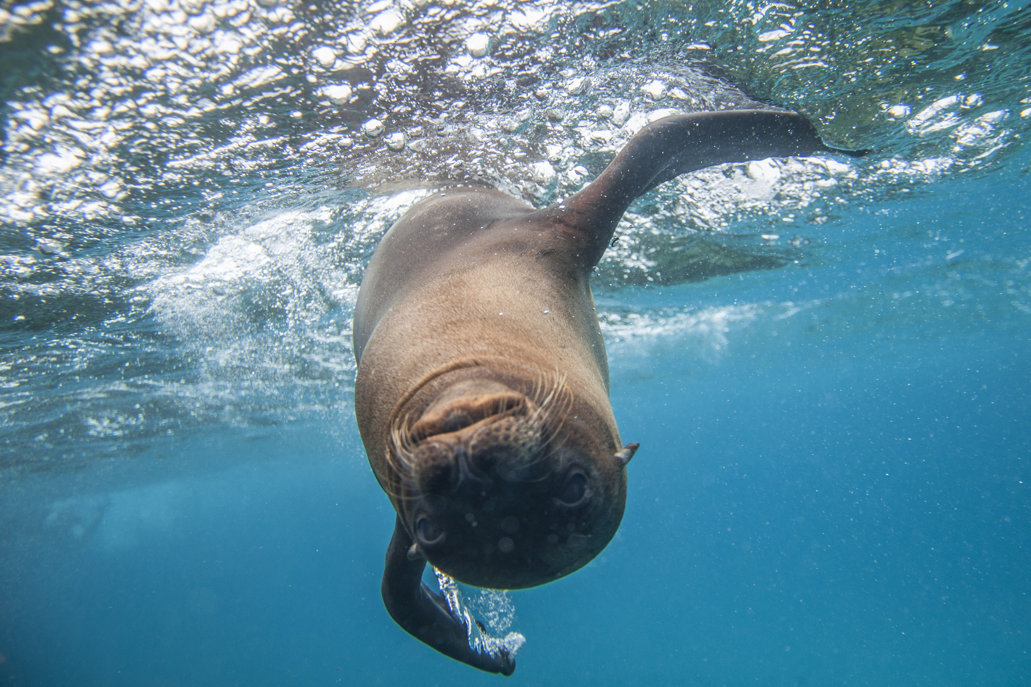 A Picture in Time #14