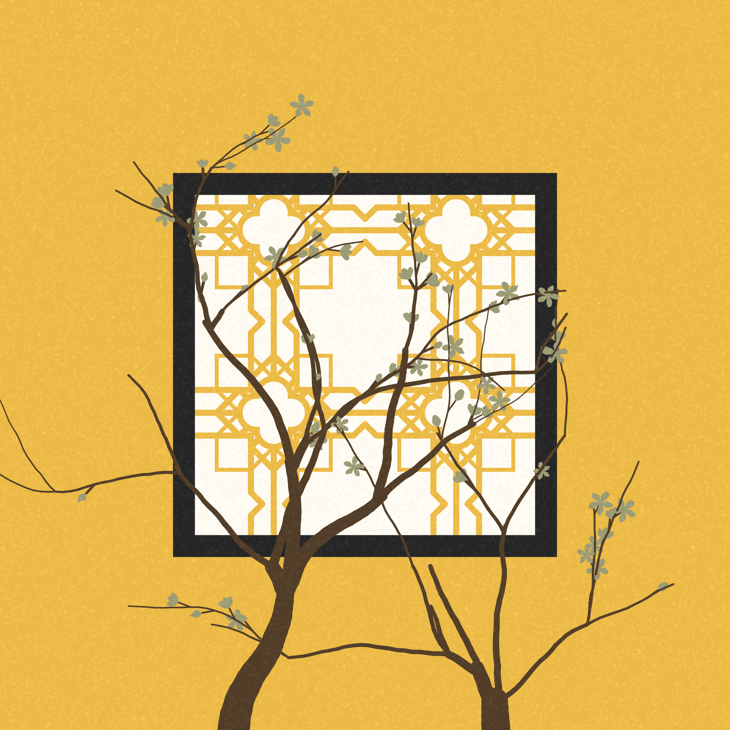 Through the Window #492