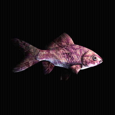 CryptoFish #1614