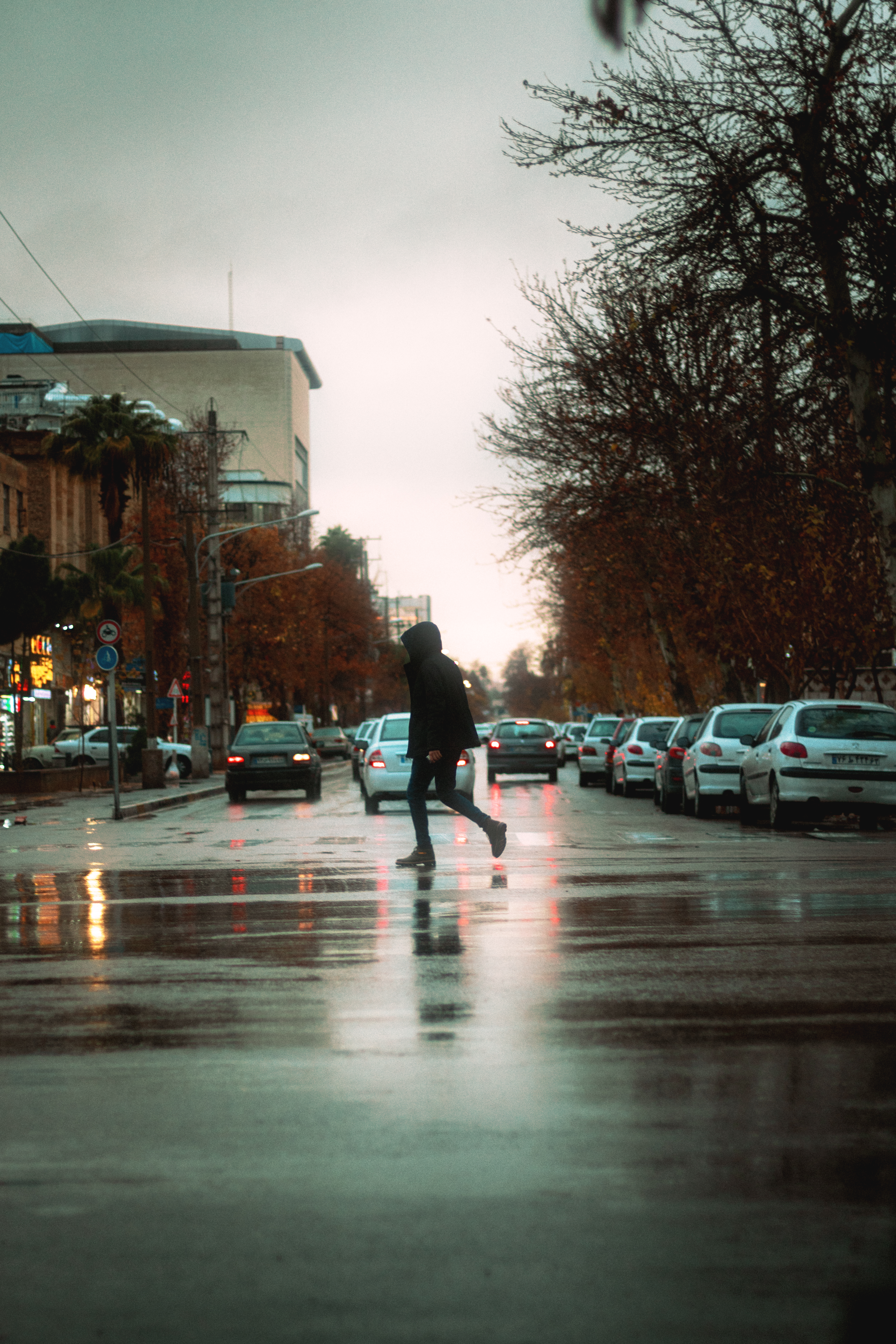 Walking on the road #8