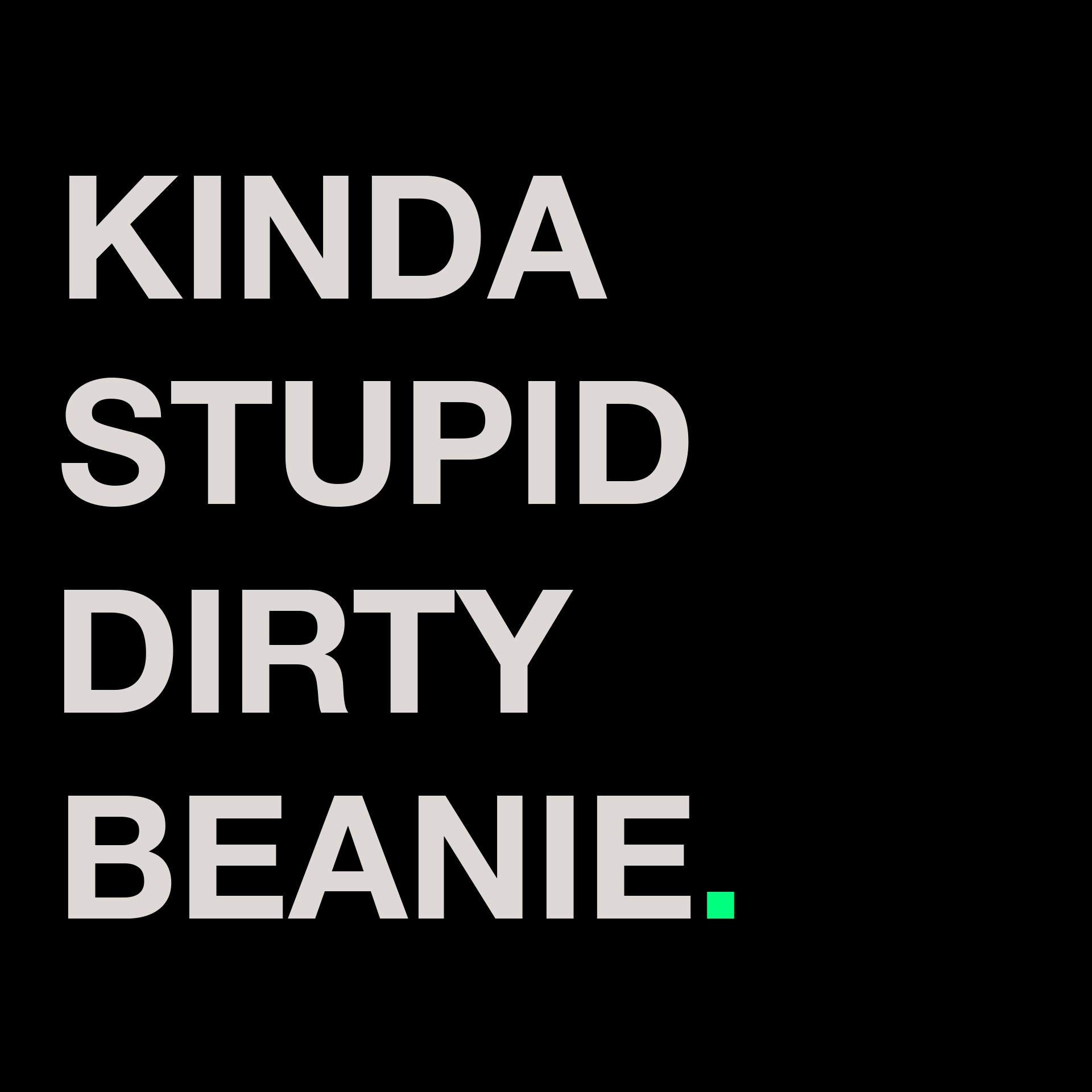 KINDA STUPID DIRTY BEANIE.