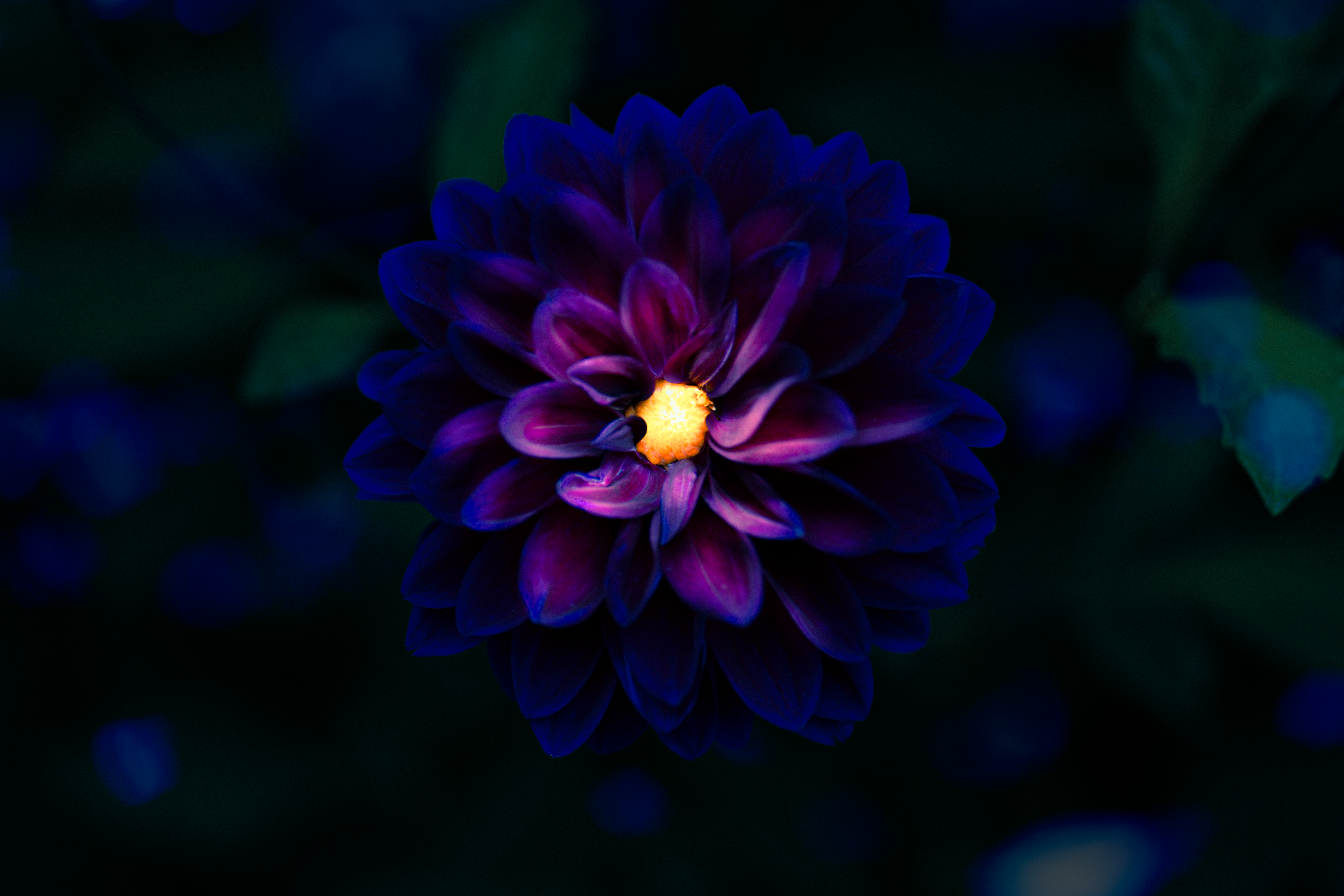 NIGHTFALL
