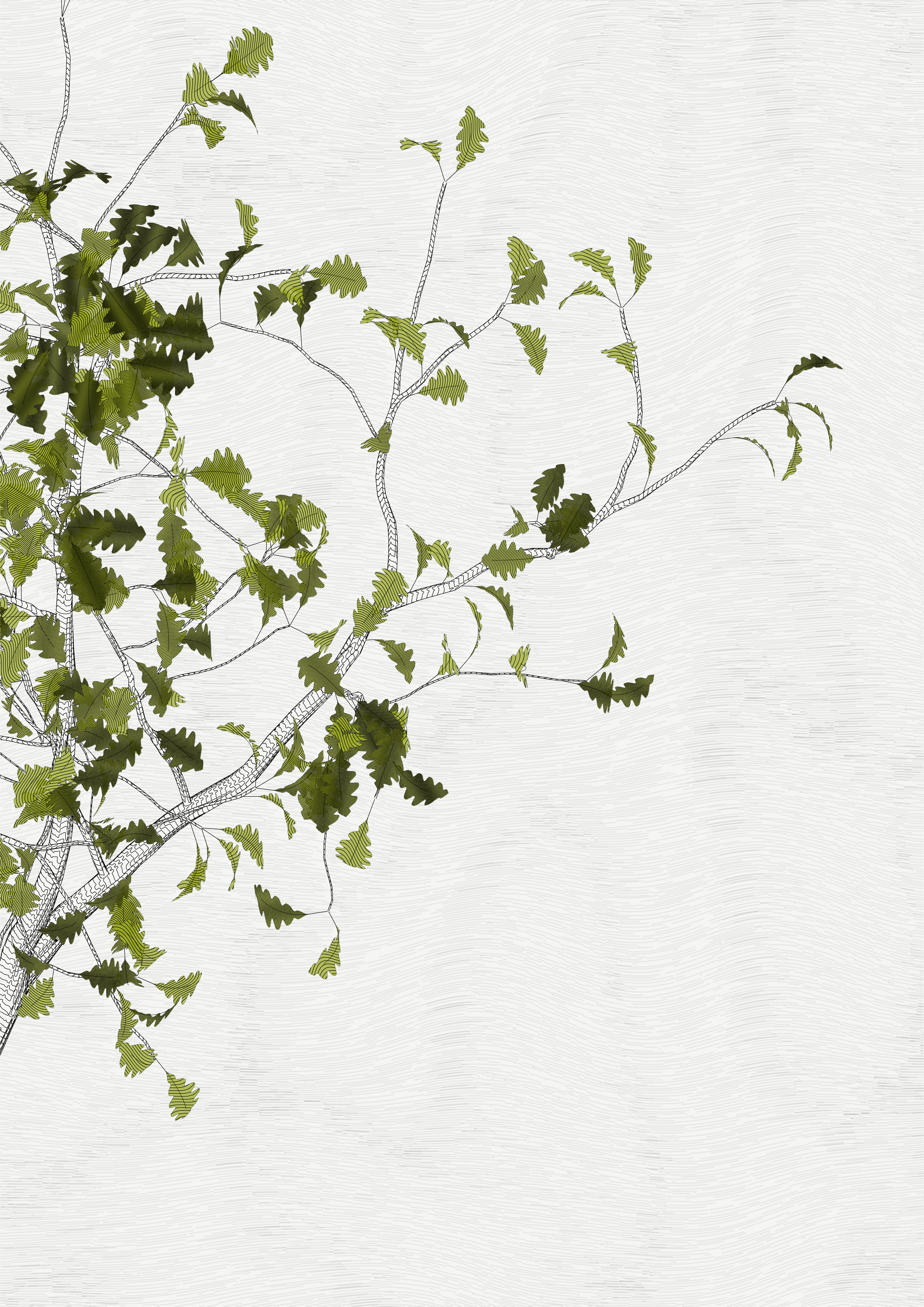 The Oak Tree part #+1,+3