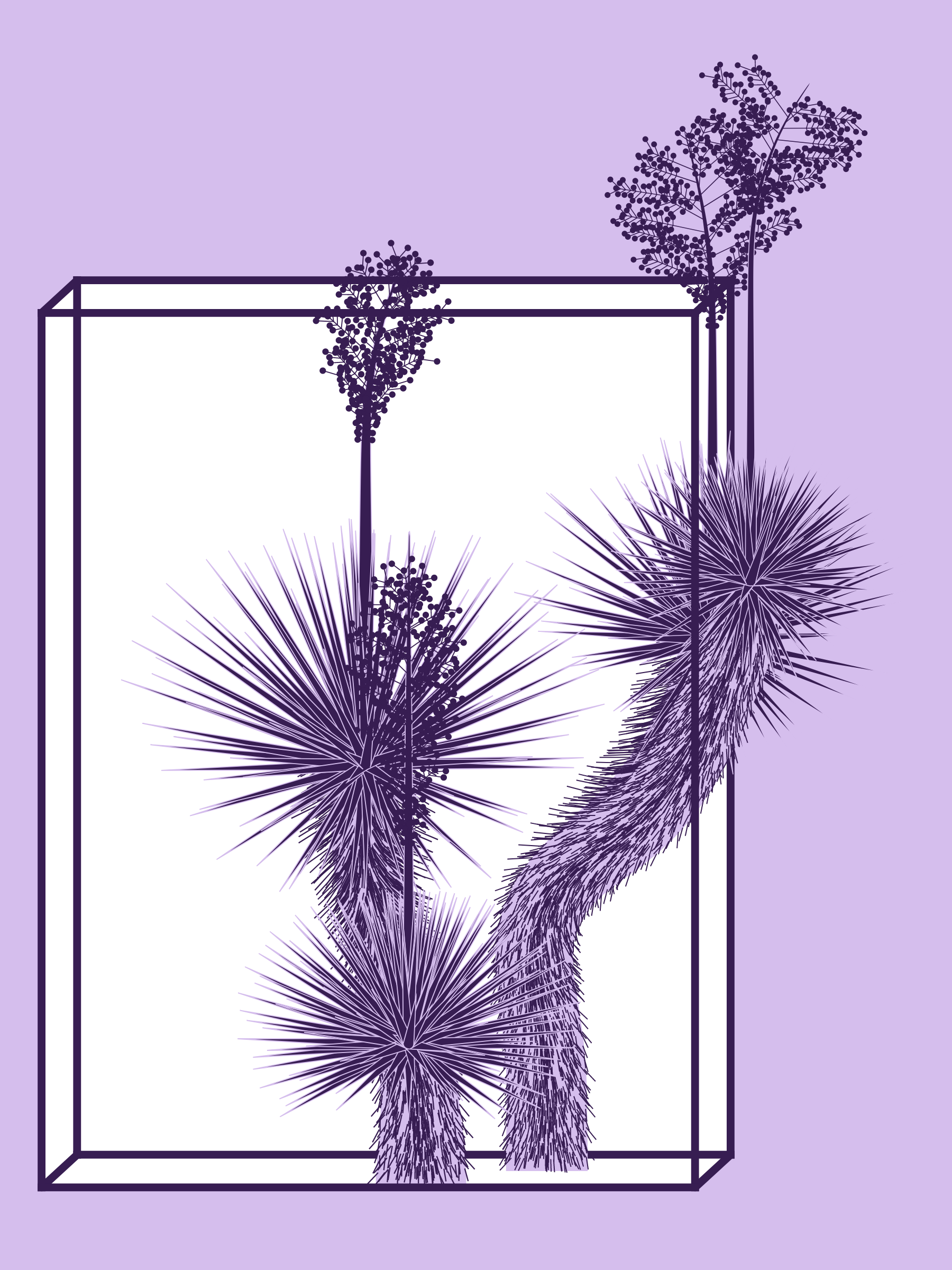 Marfa Yucca #148