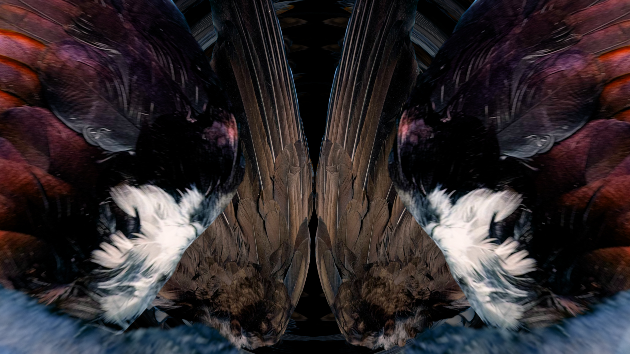 Fuga delle Sirene XXXIV