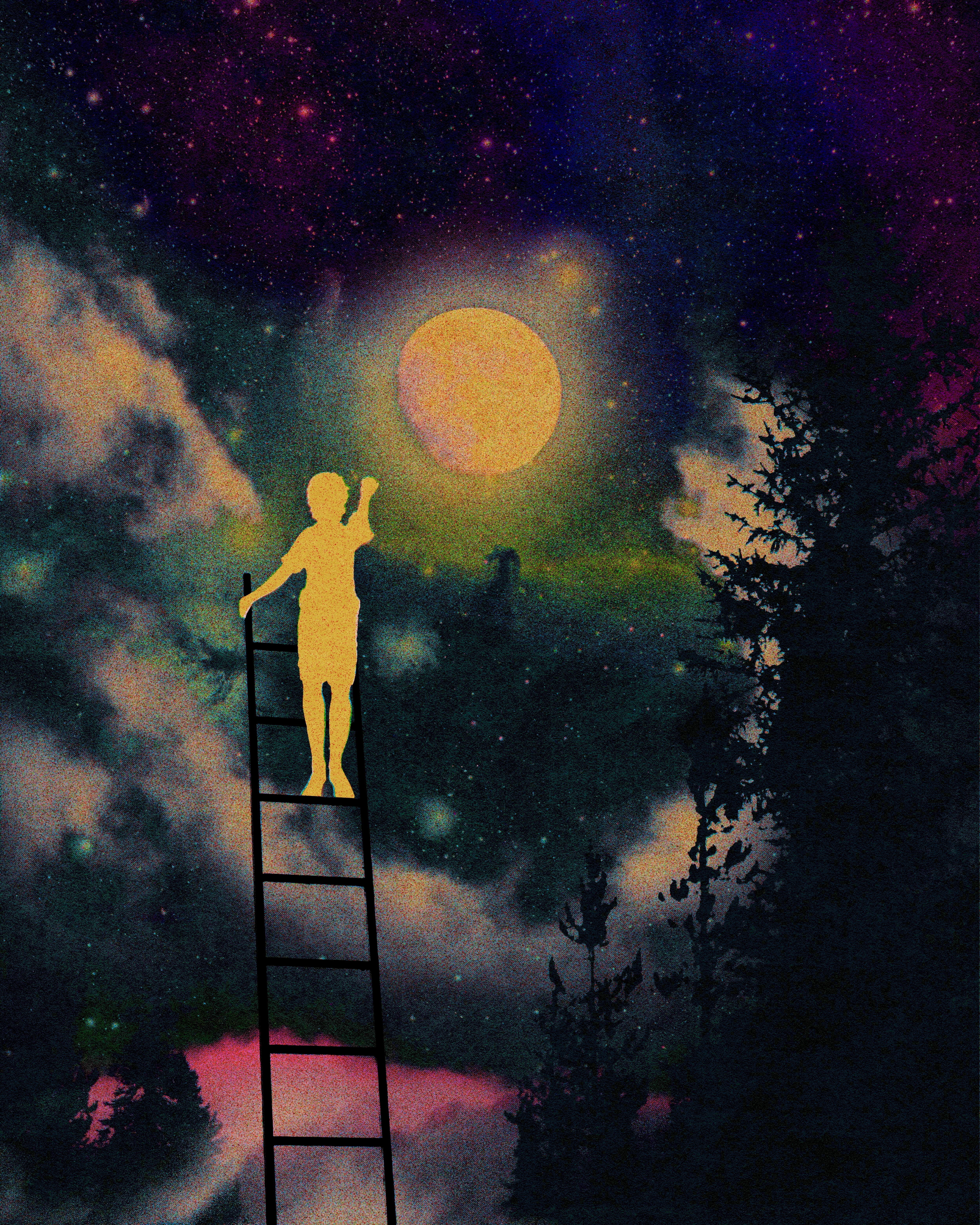 The dreams I never dreamt