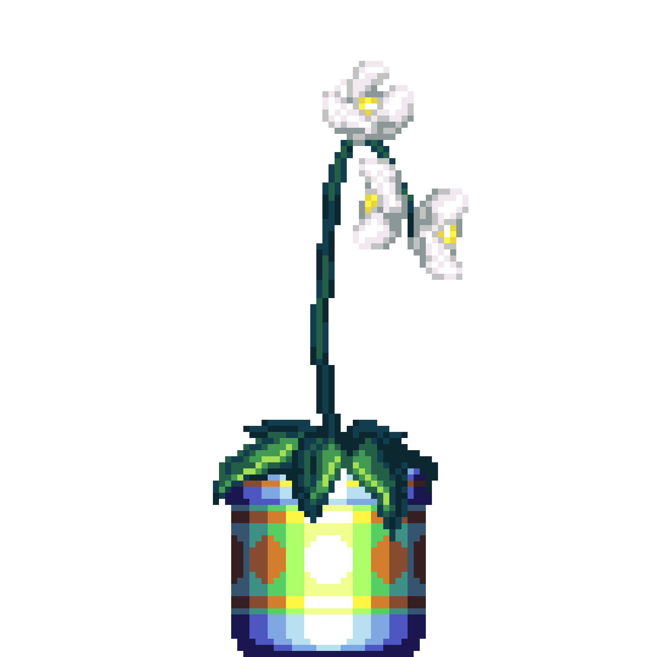 White Orchid in Large Premium Pattern pot