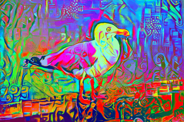 Trippy Seagull