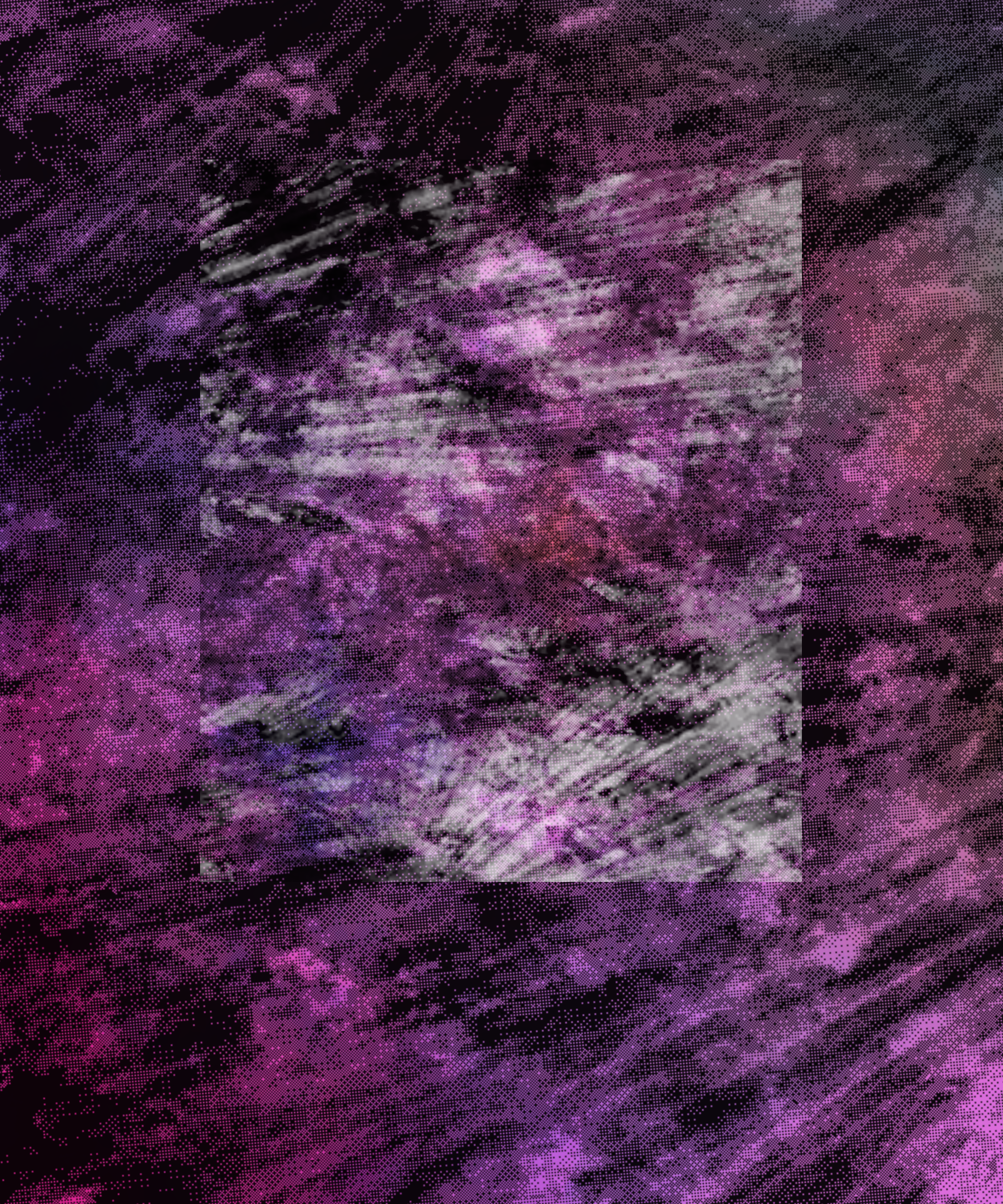 the spring begins with the first rainstorm #344