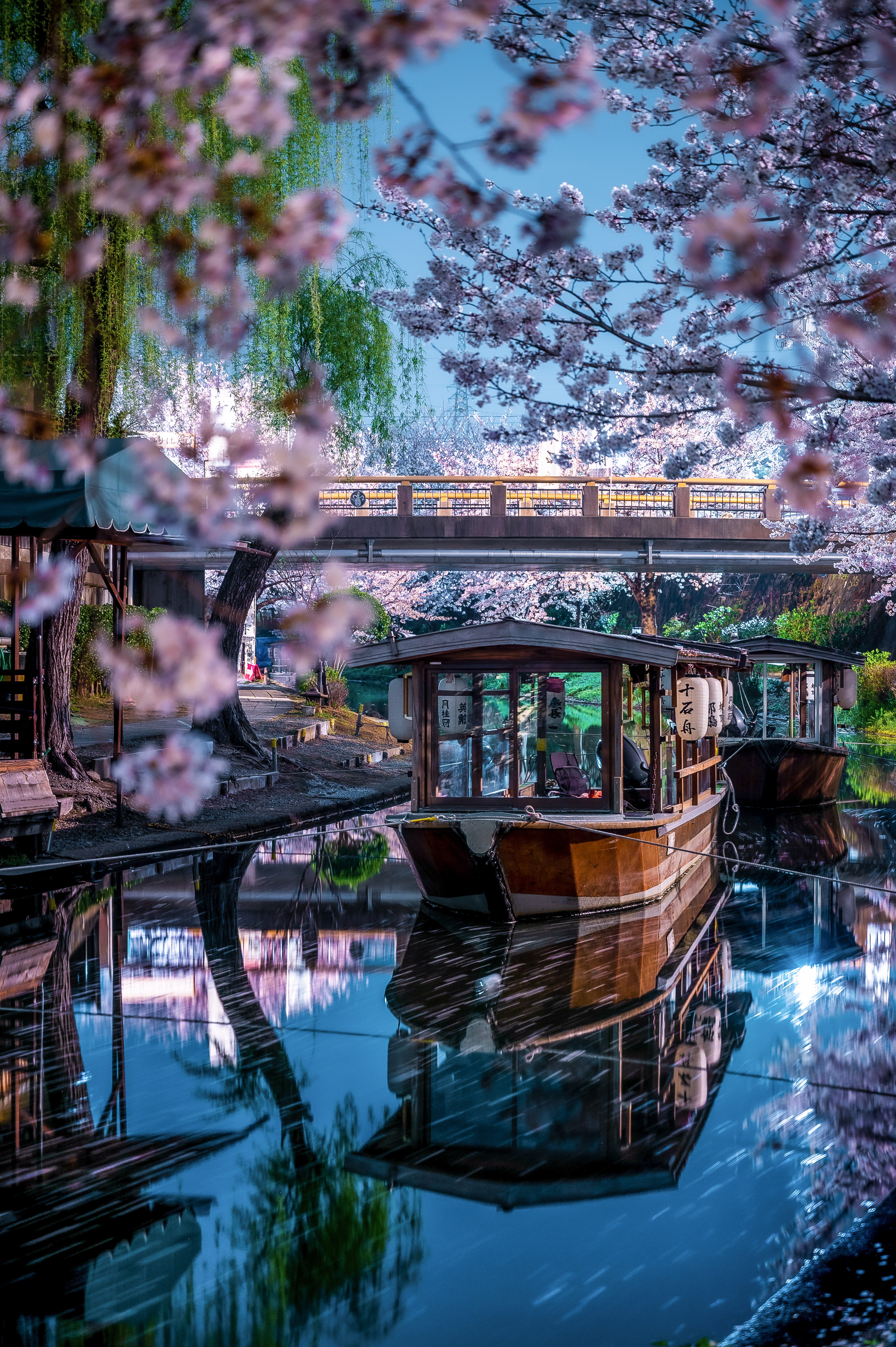 Water Mirror in Kyoto in Spring