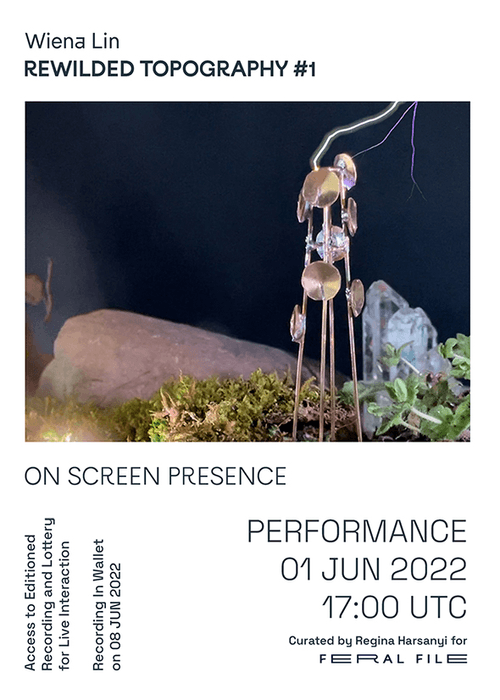 Rewilded Topography #1  #41