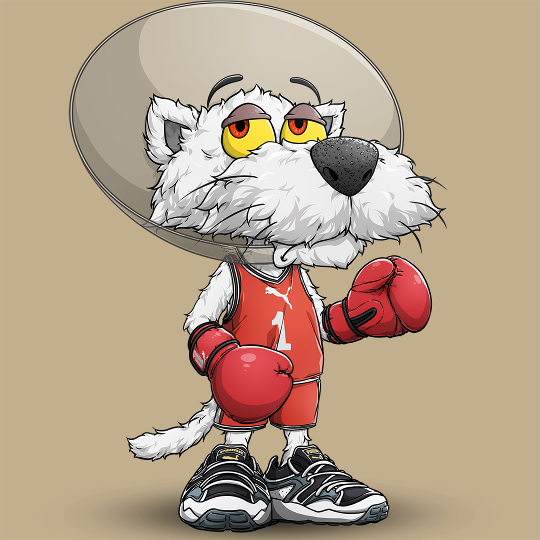 raoof.eth Ethereum Name Service (ENS and .eth domain) PFP