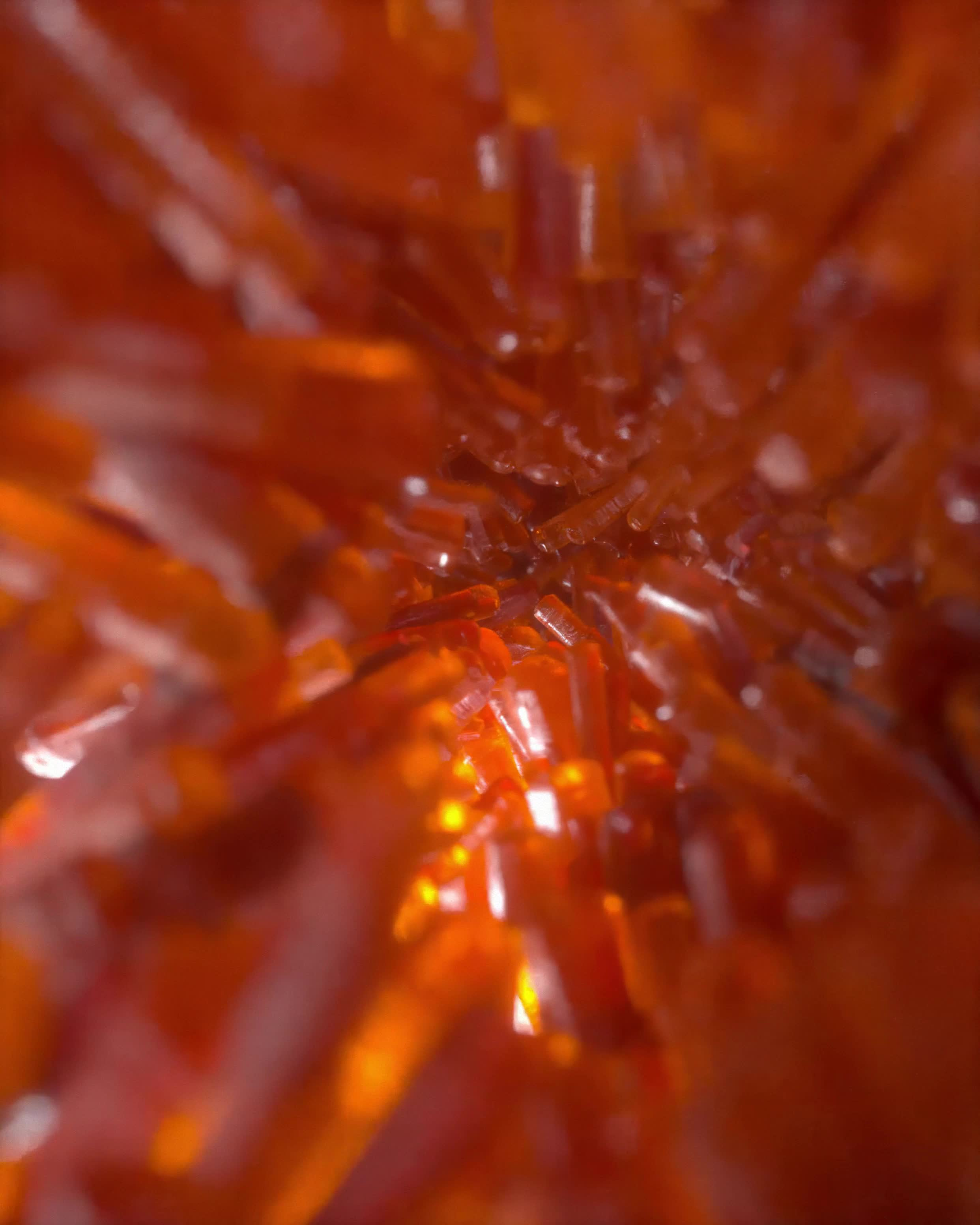 Into the Lolli #44/105