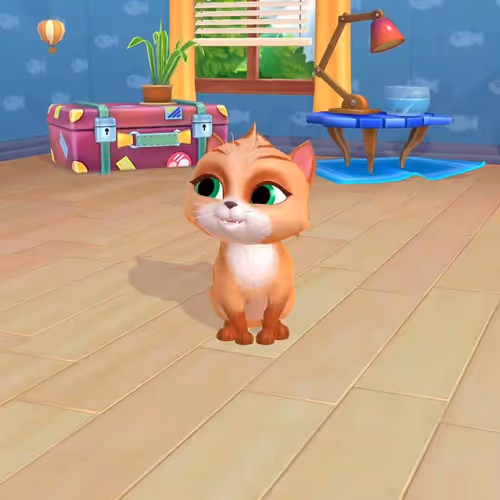 猫咪