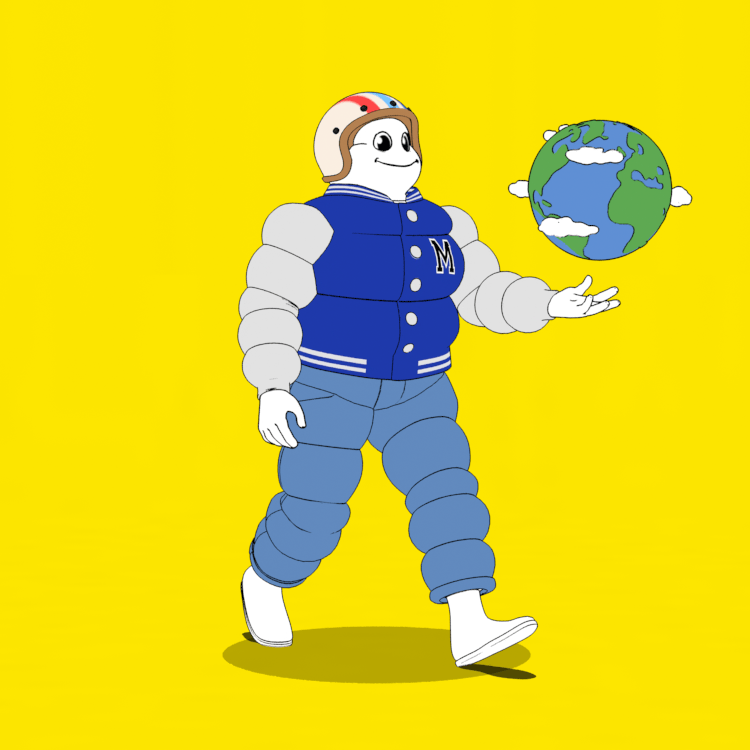 Michelin 3xplorer #507