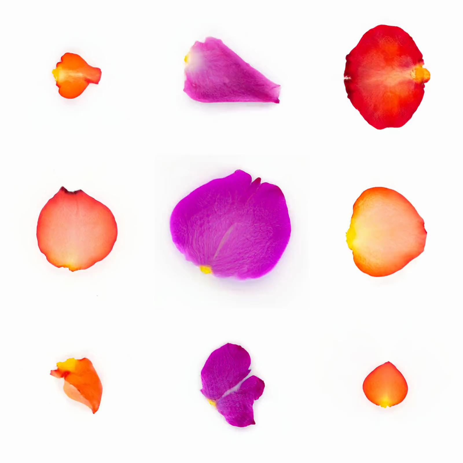 Infinite Petals 3x3#20583