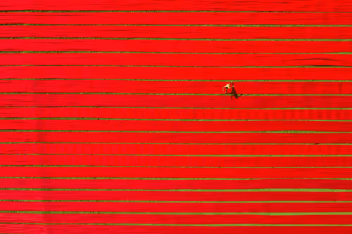 Drying red fabrics-11