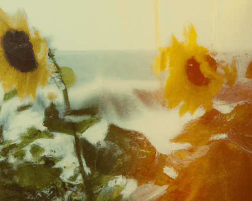 Tsunflower Chaos #173