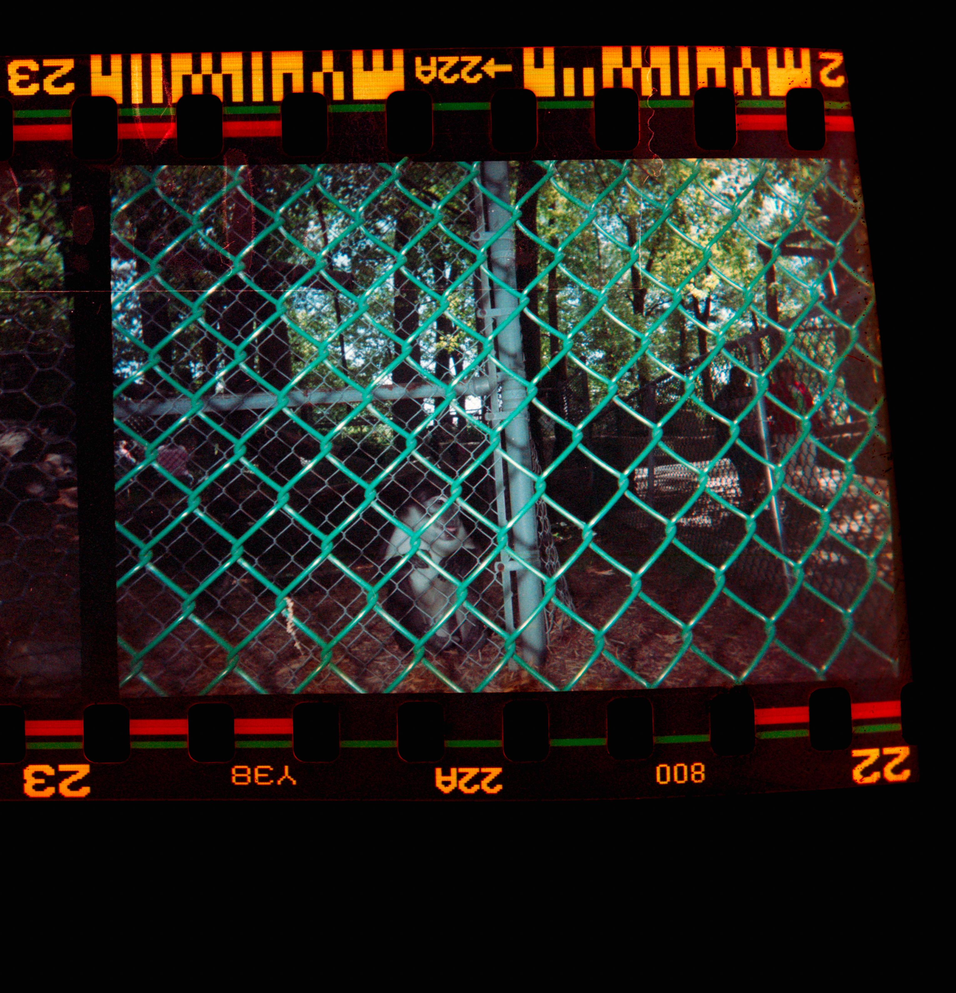 Kodachrome #1272