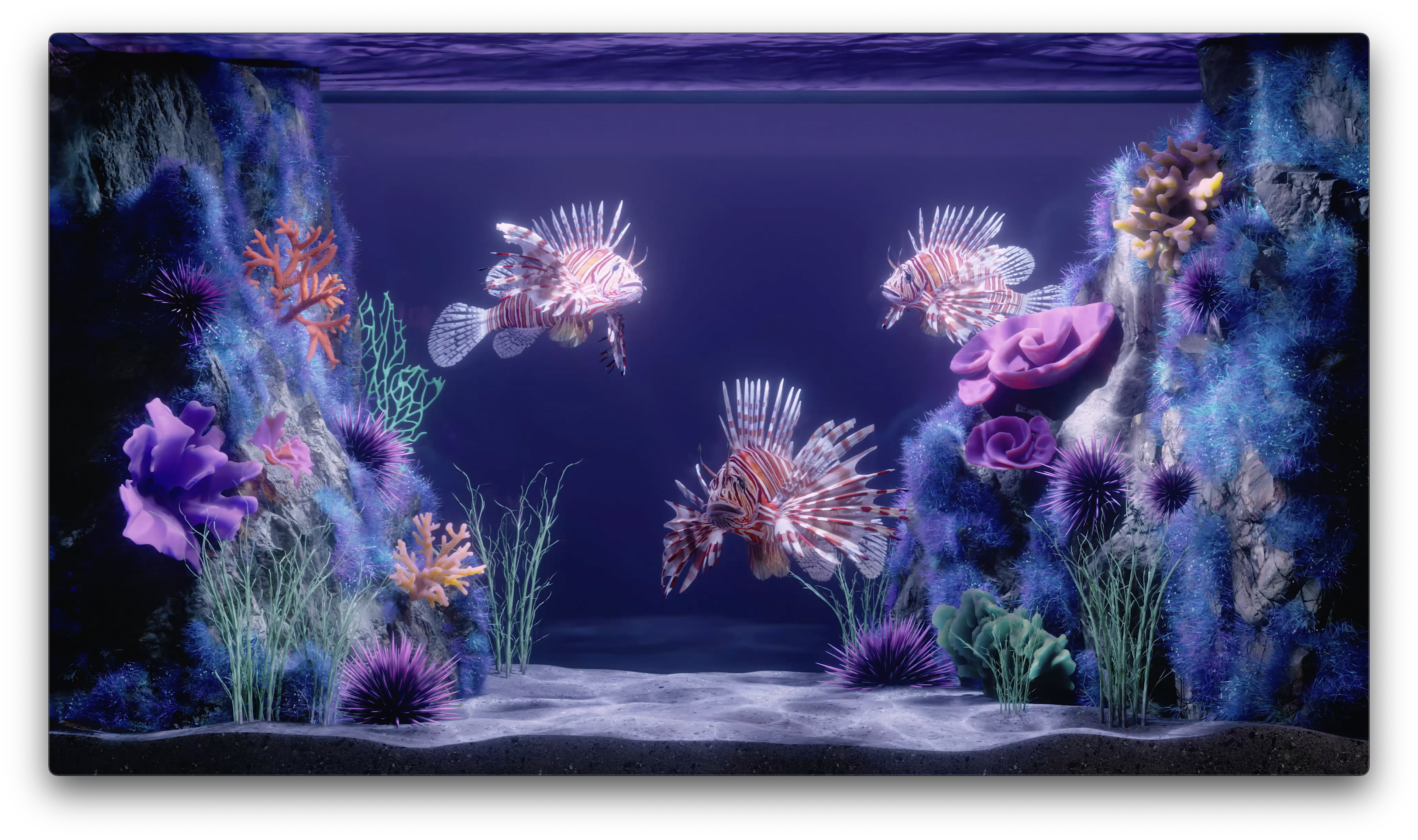 The Lion's Lair #822