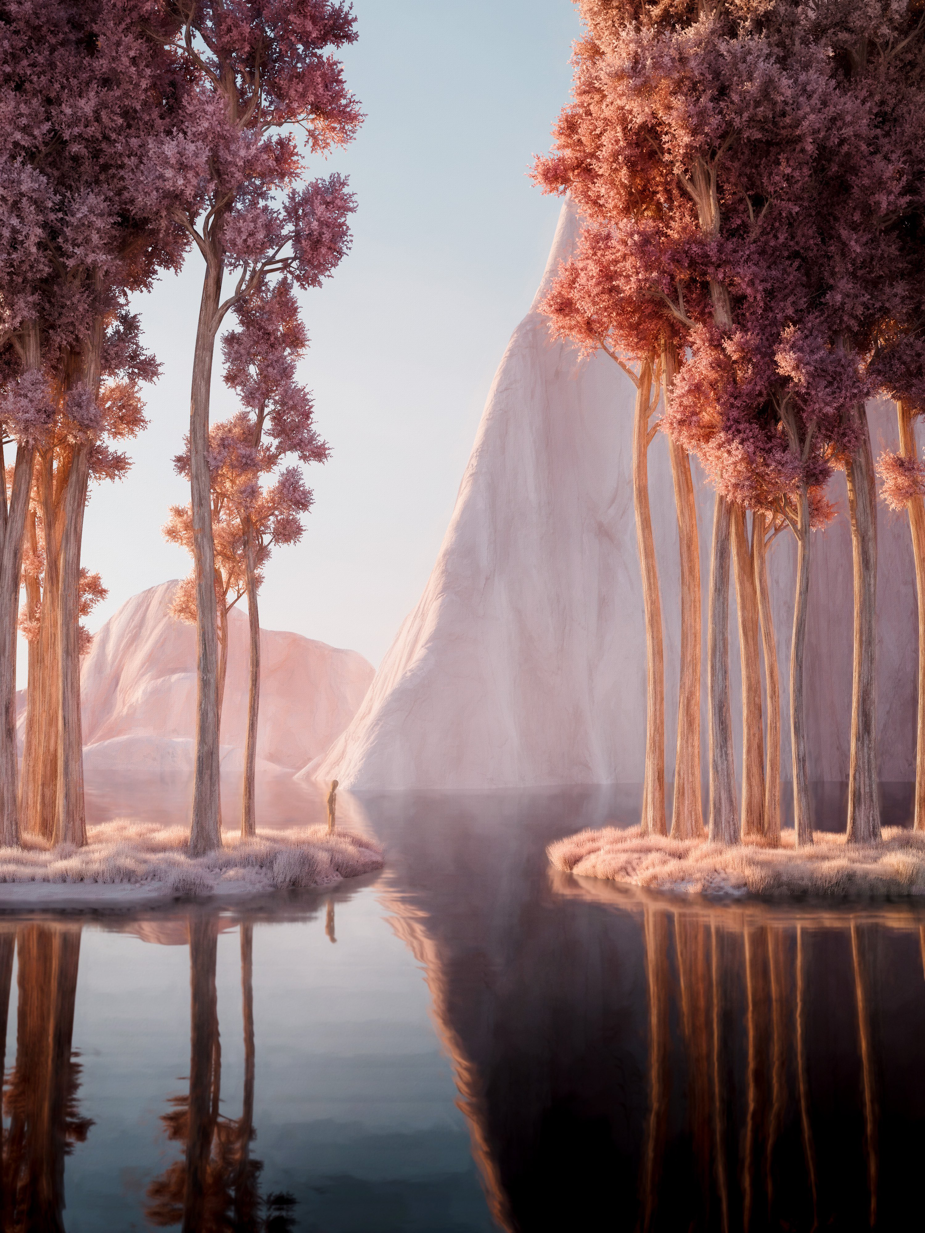 reflections I