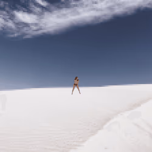 Nude Pixels in Nature_004