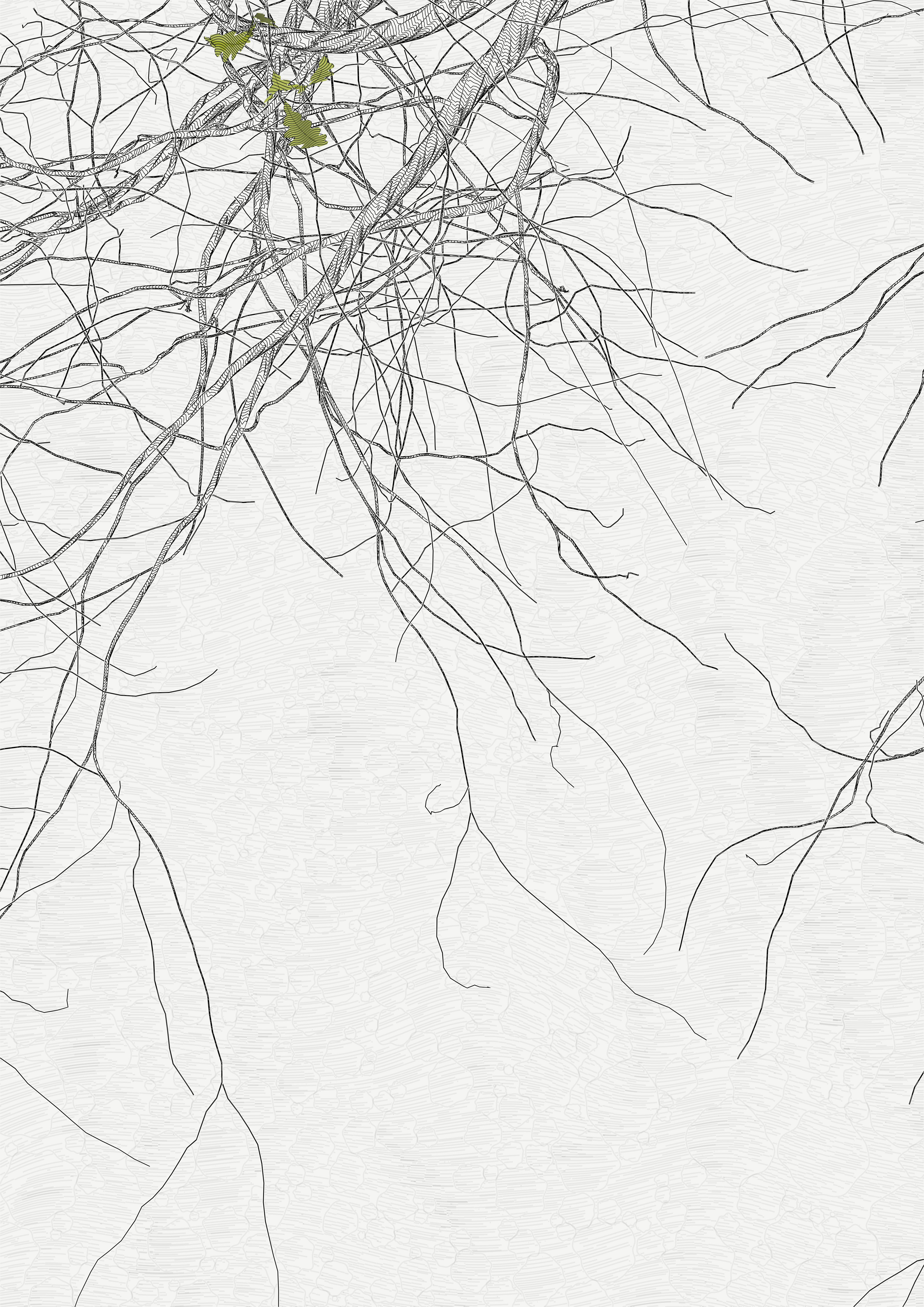 The Oak Tree part #-1,-2