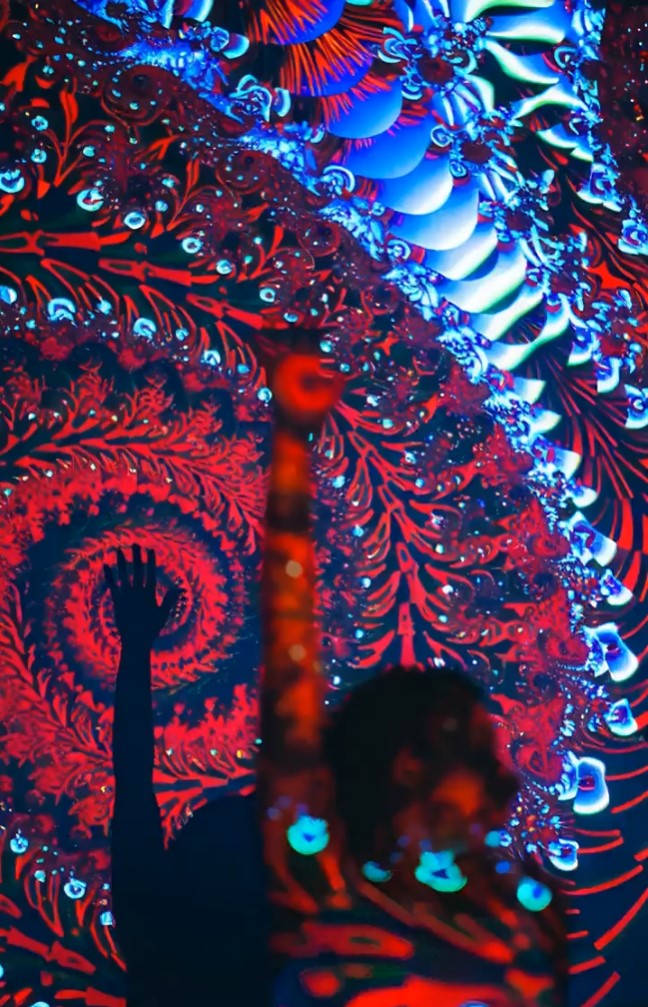 Querencia - J.N. Silva