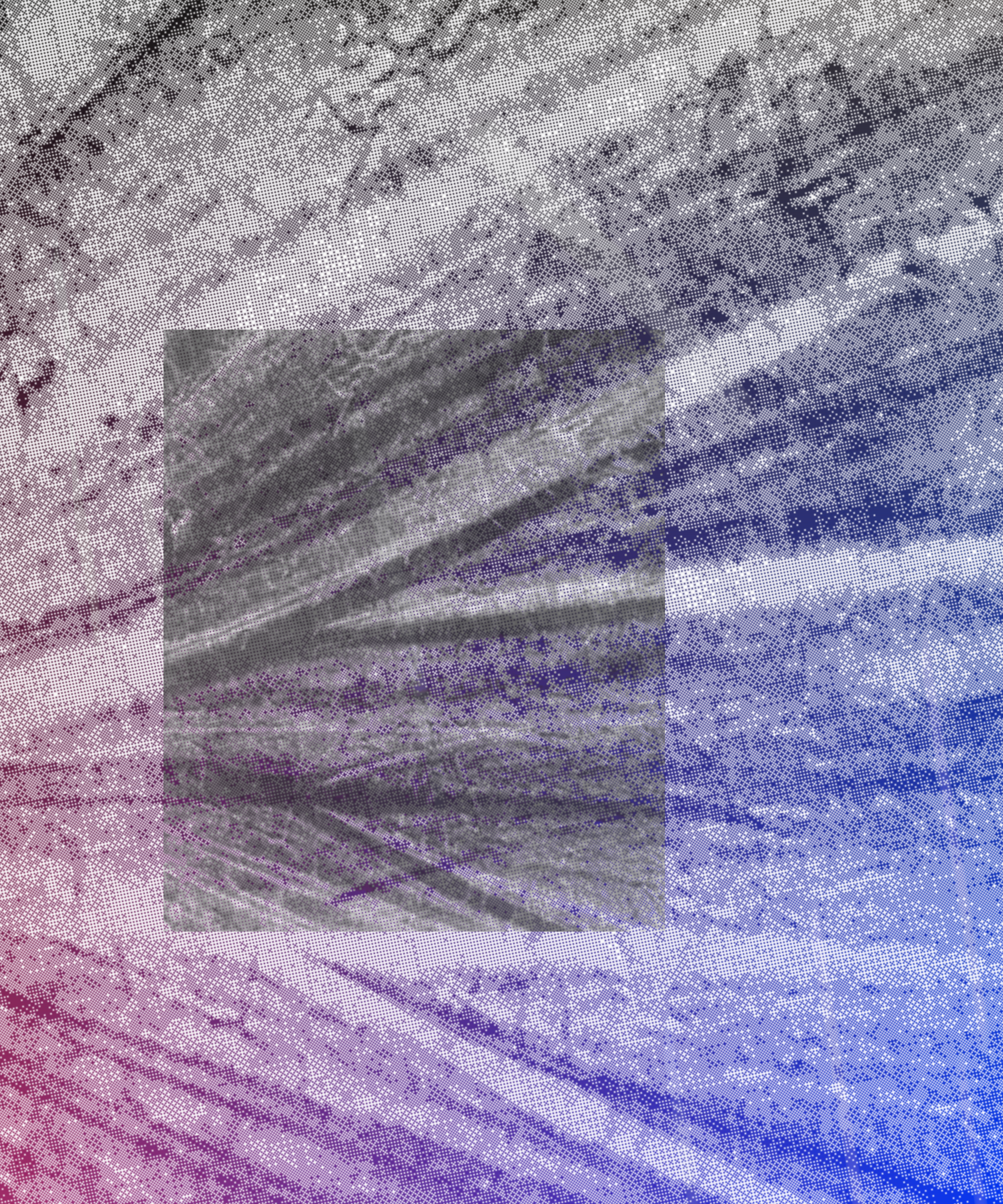 the spring begins with the first rainstorm #46