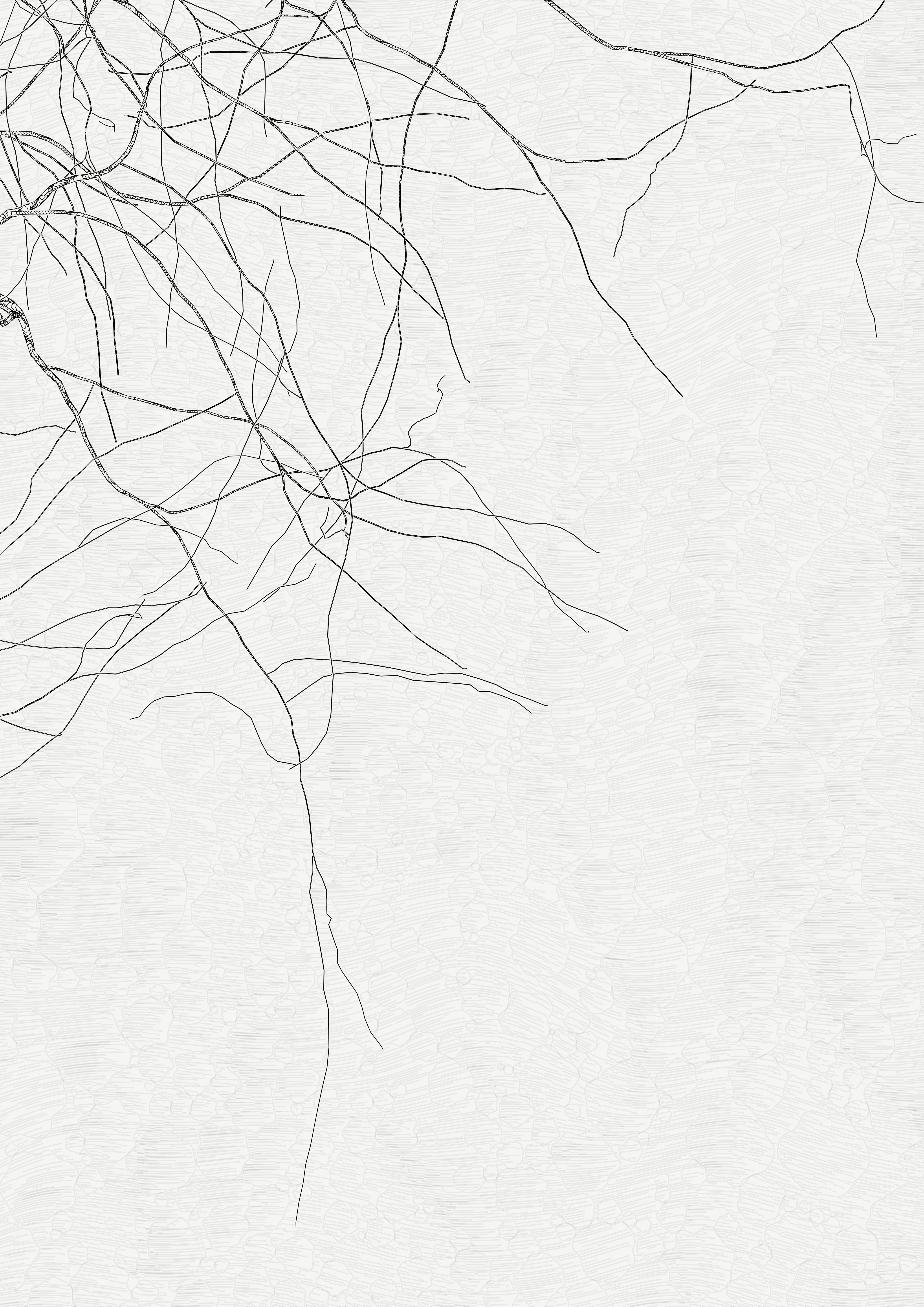 The Oak Tree part #+1,-2 