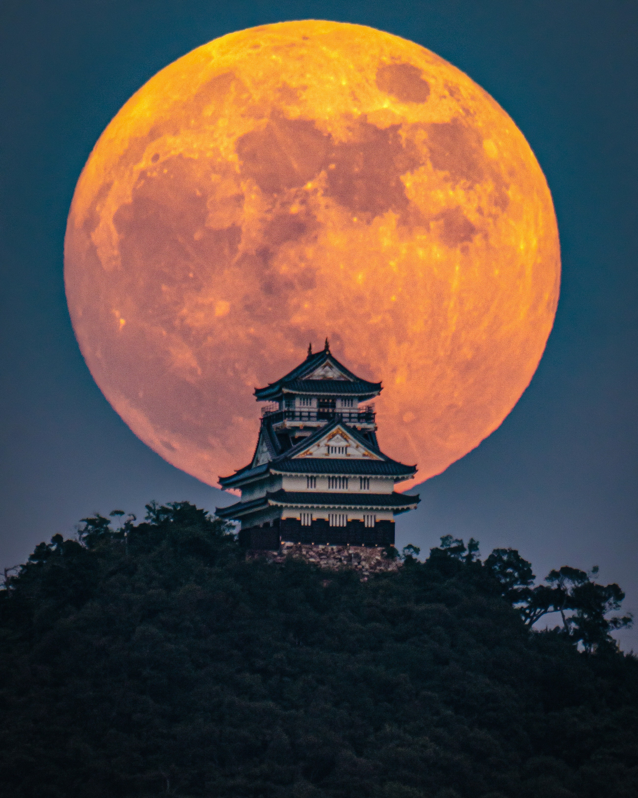 Iconic Japan #12 "Moon Over the Castle"