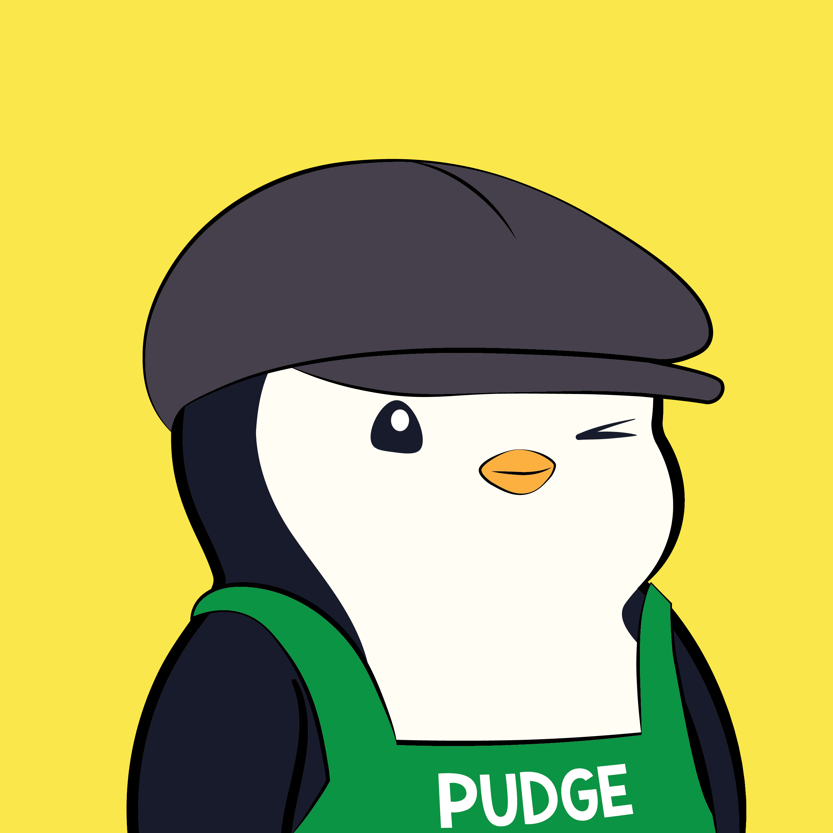 Pudgy #7807