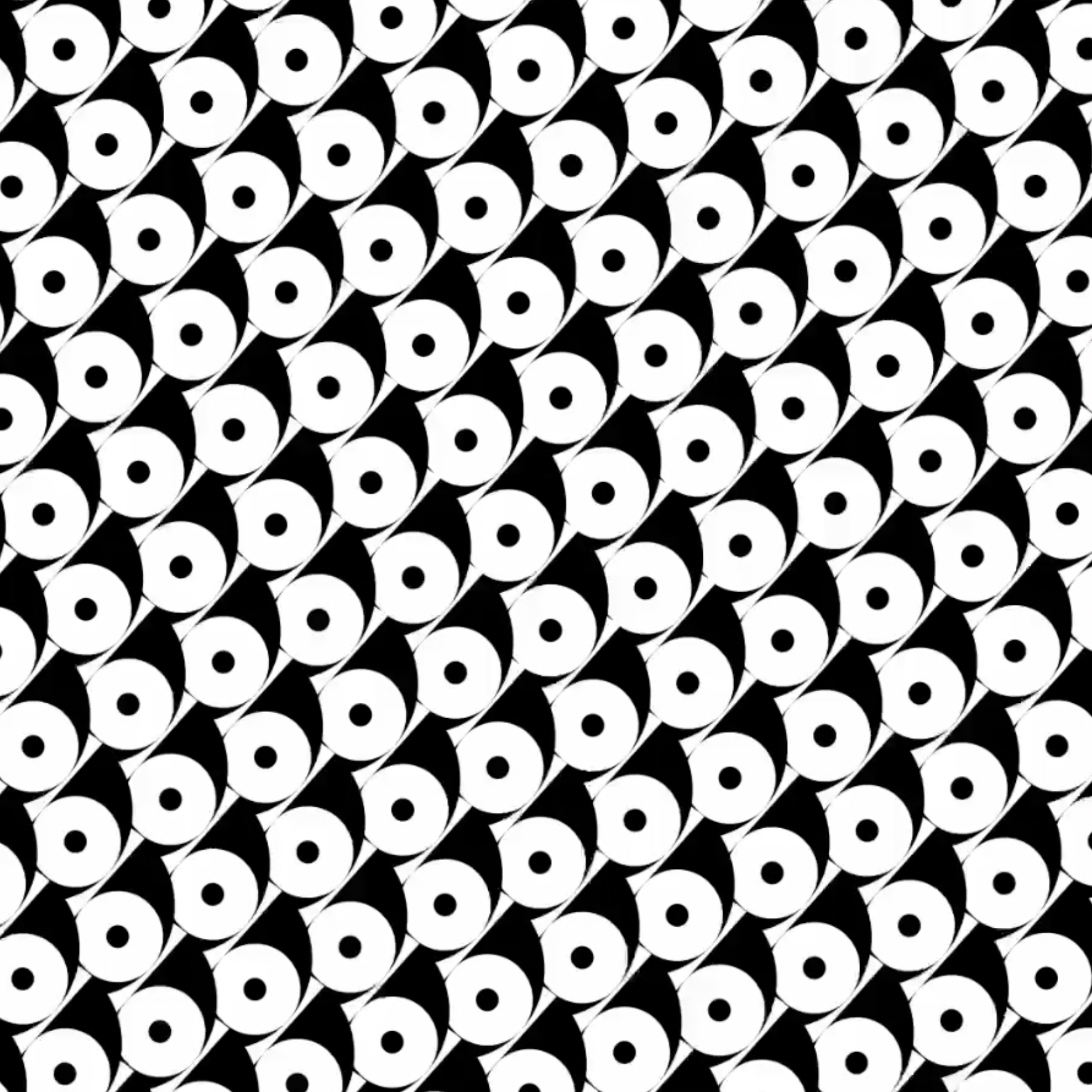 SHIFTING PERSPECTIVE