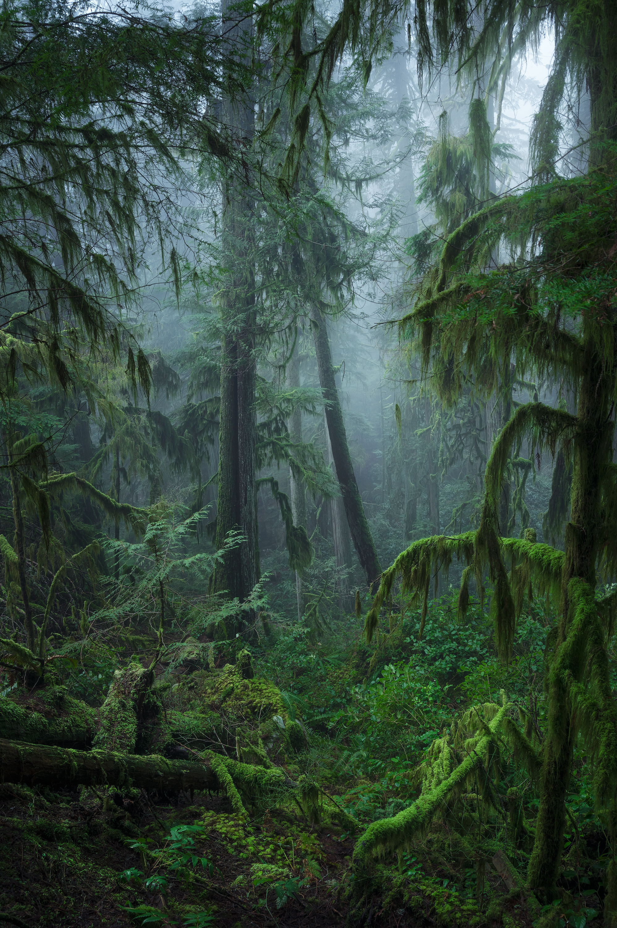 The Ephemeral Realm #7/20