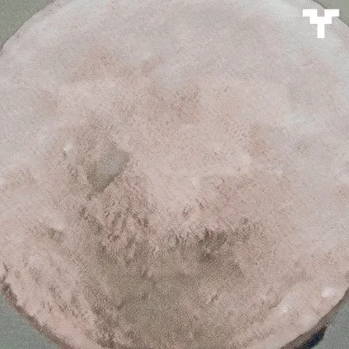 Ritual of Y (ANIM) #2