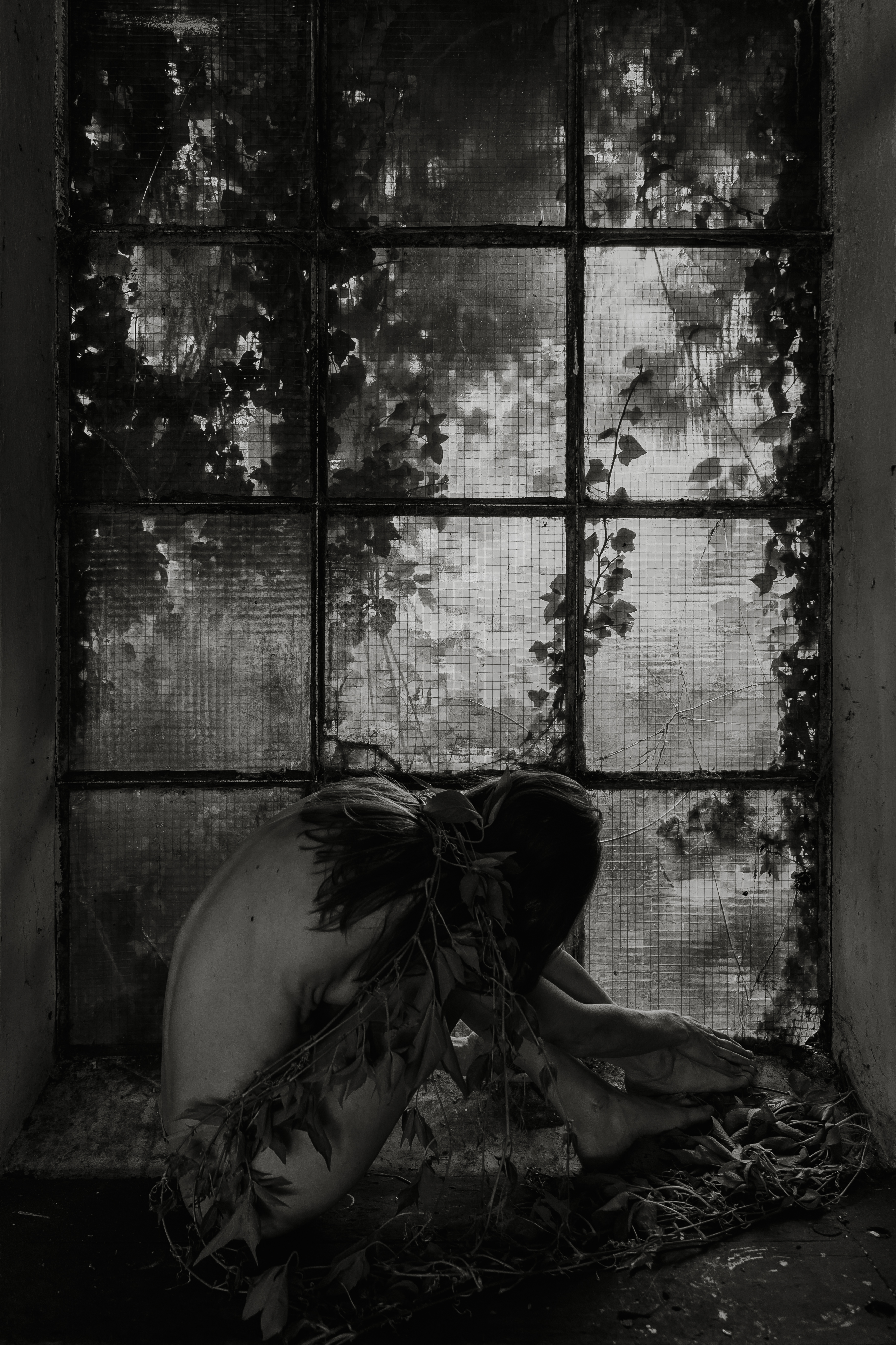 Nature's Remembrance 1