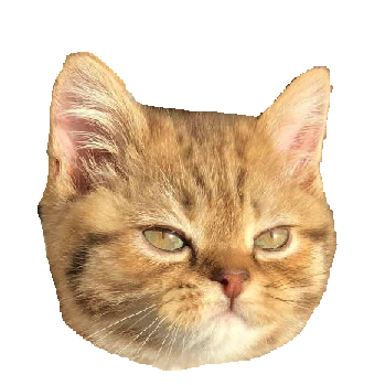 Emerson Connelly (emerconn.eth) Ethereum Name Service (ENS and .eth domain) PFP