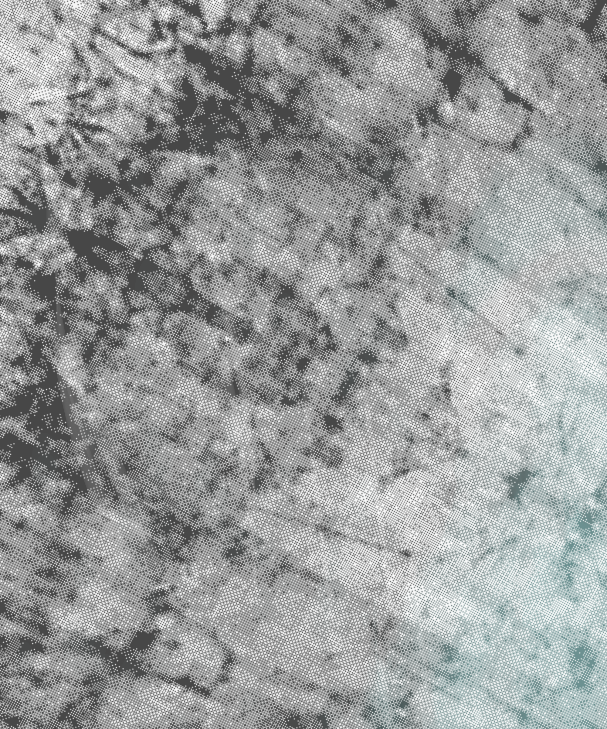 the spring begins with the first rainstorm #427