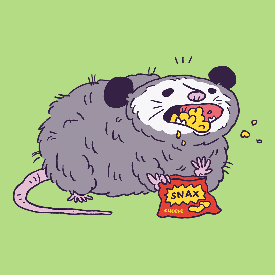 Snax Opossum #1449