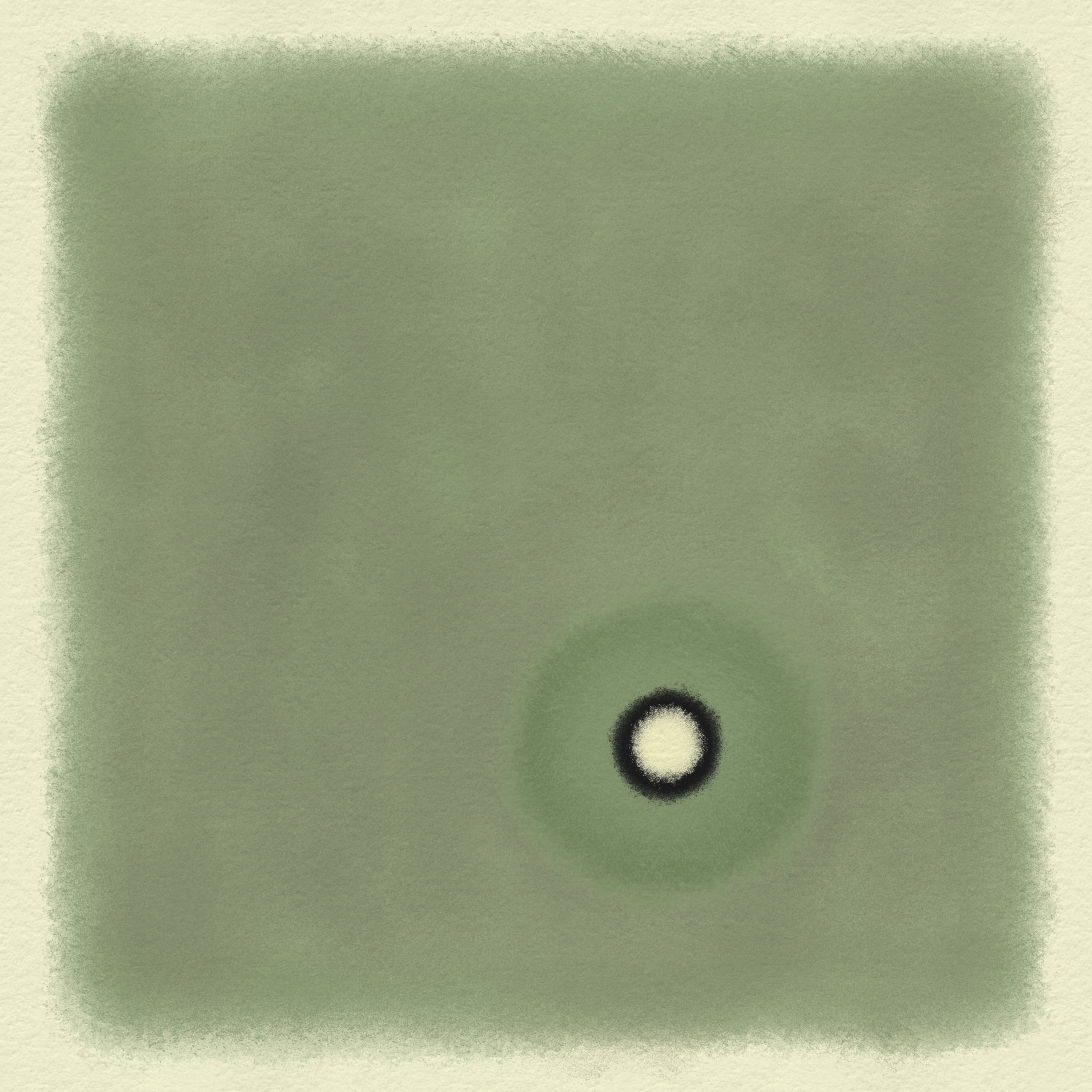 a black dot with a white dot on a green background