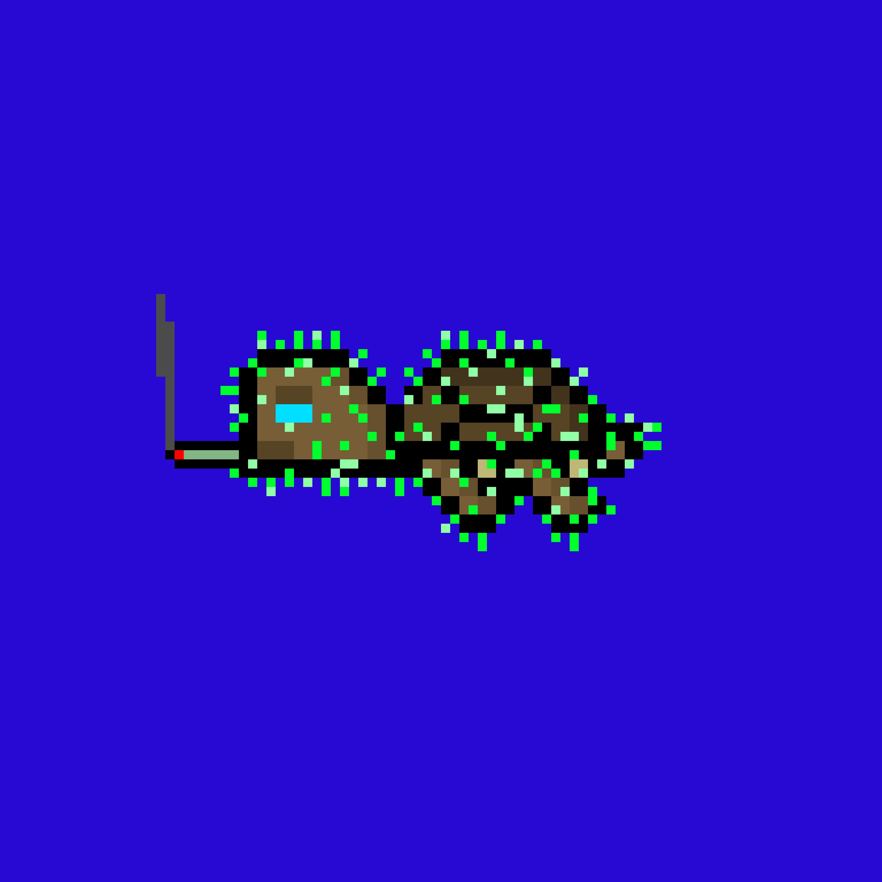 DAO Turtle #7246