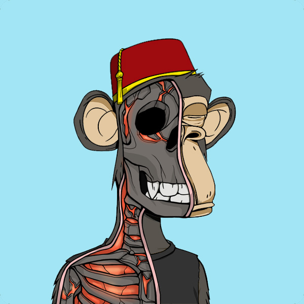 Anatomy Science Ape Club #2055