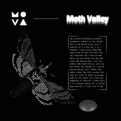 MOTH VALLEY PASS #214