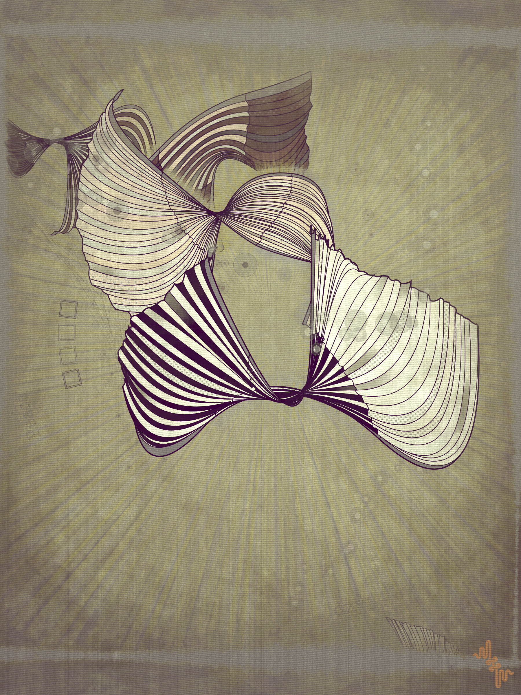 Velum #25